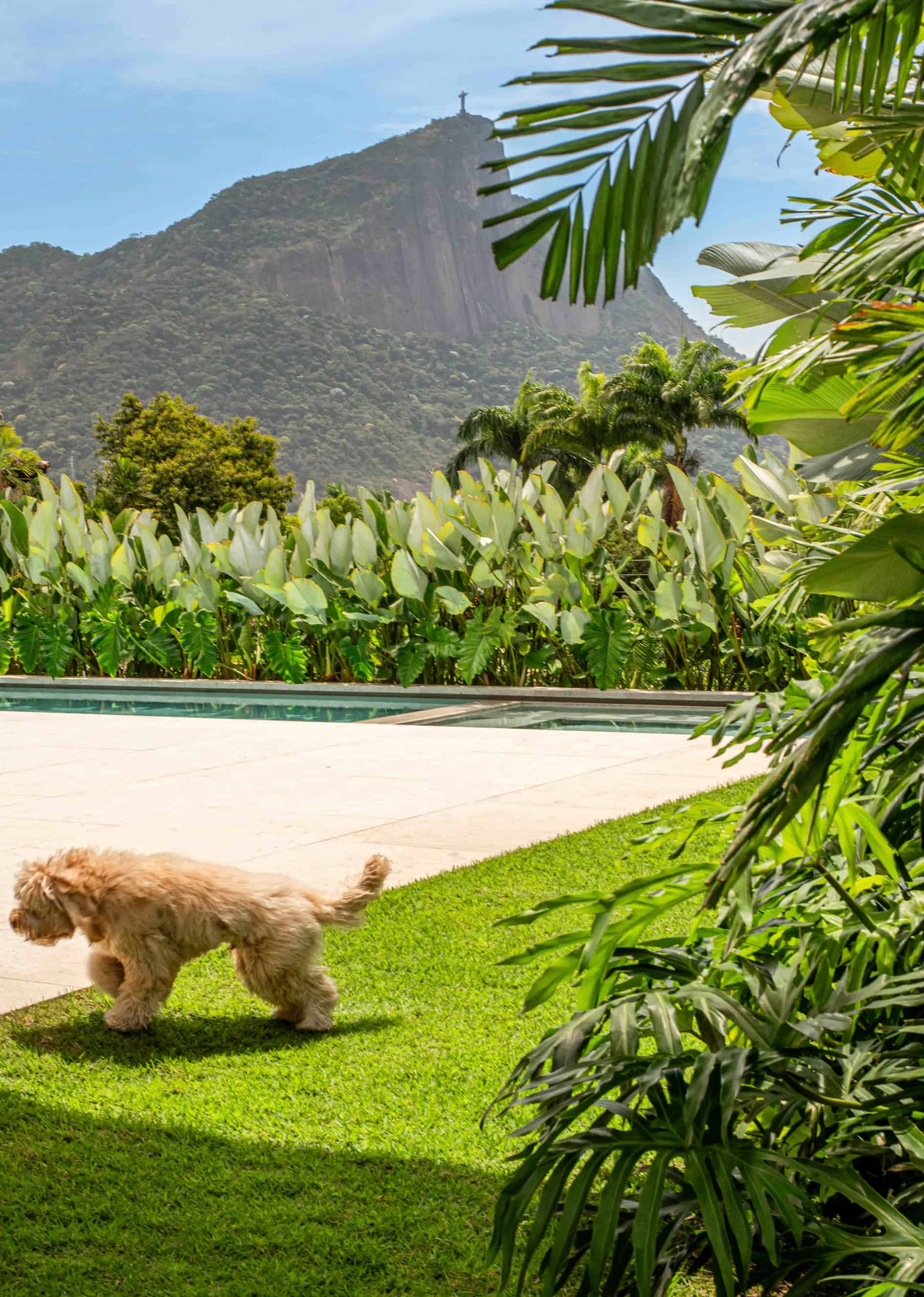 Jardim FLV - Imagem 6