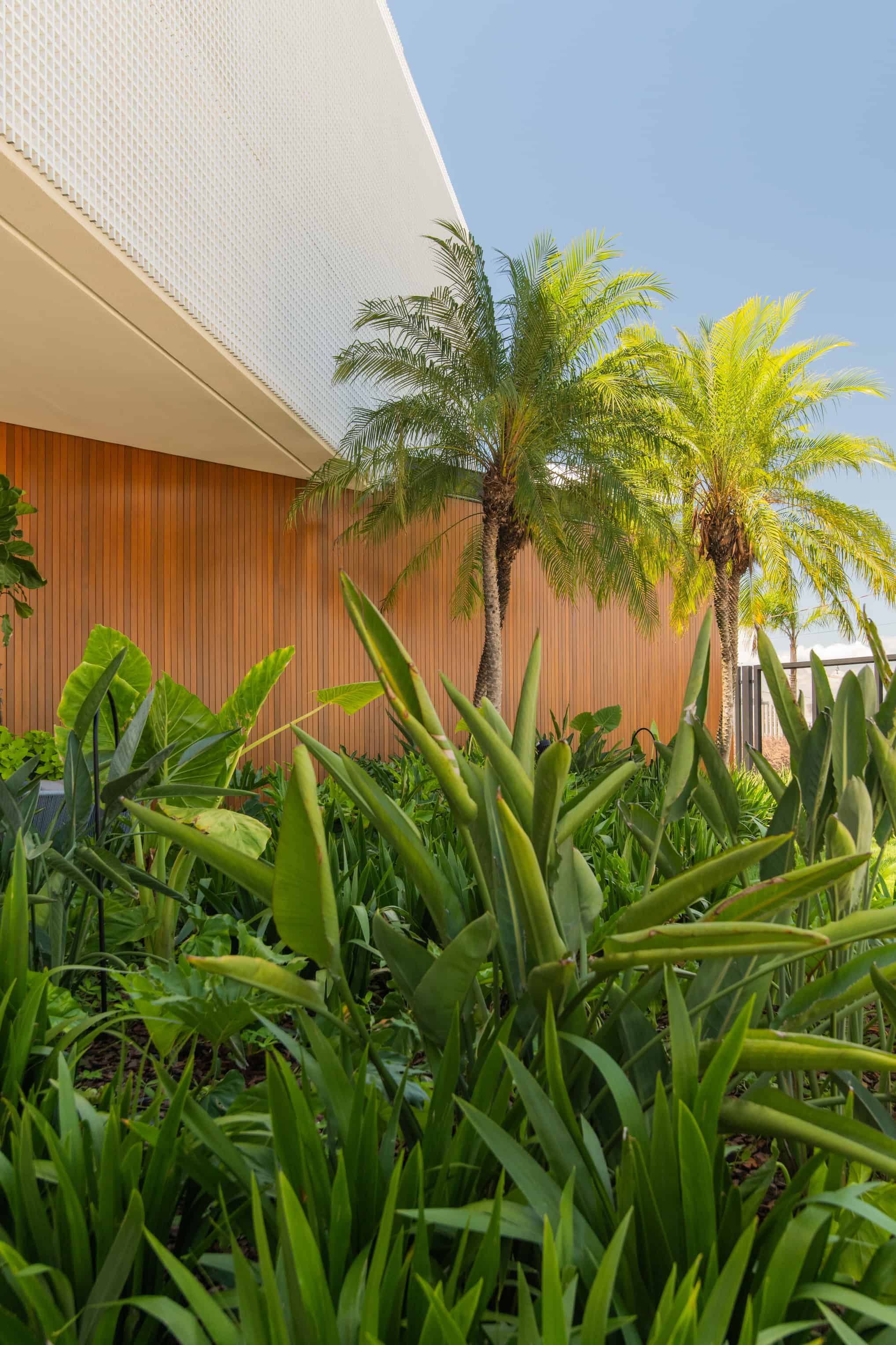 The Garden - Imagem 18