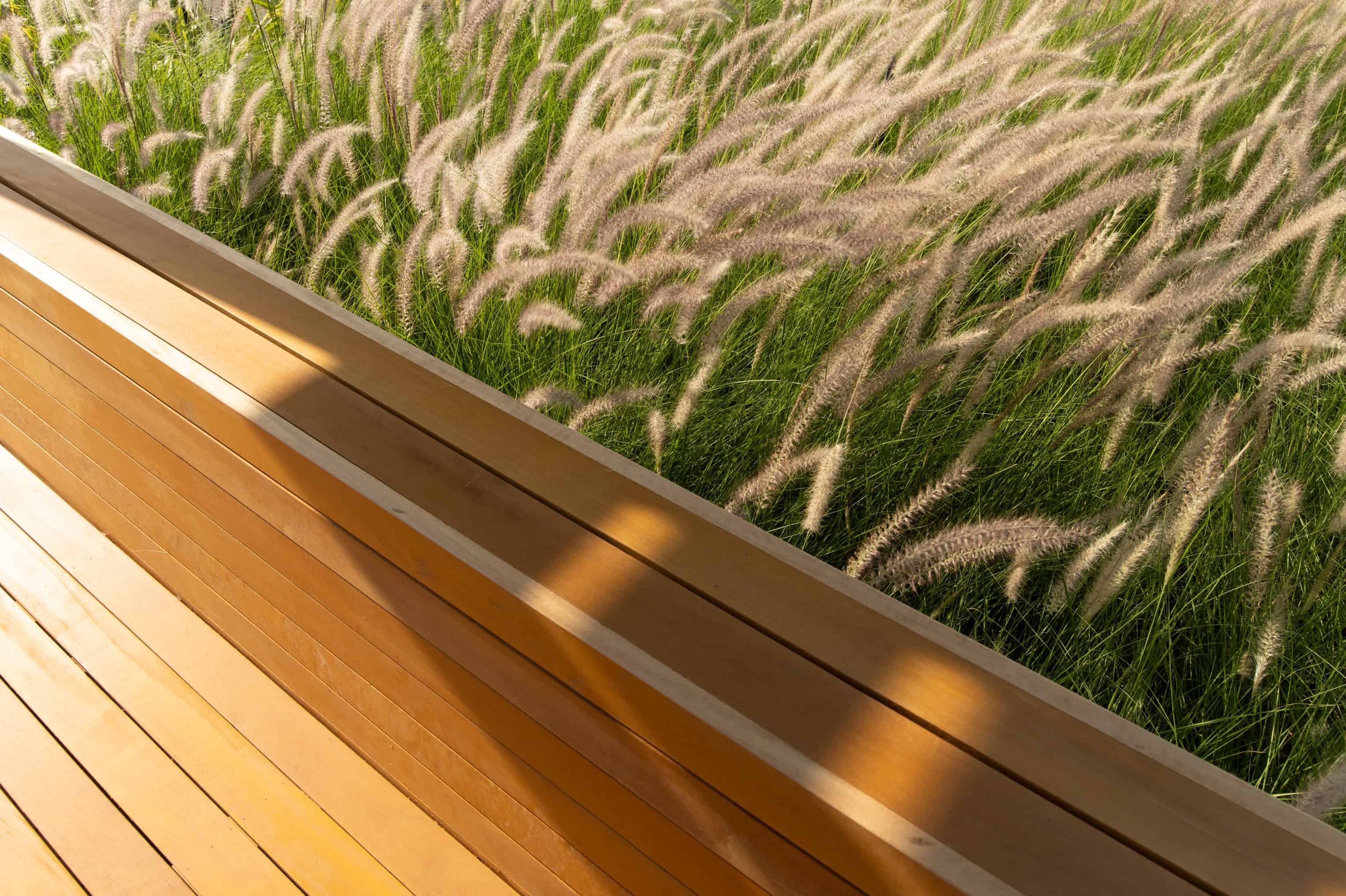 The Garden - Imagem 26