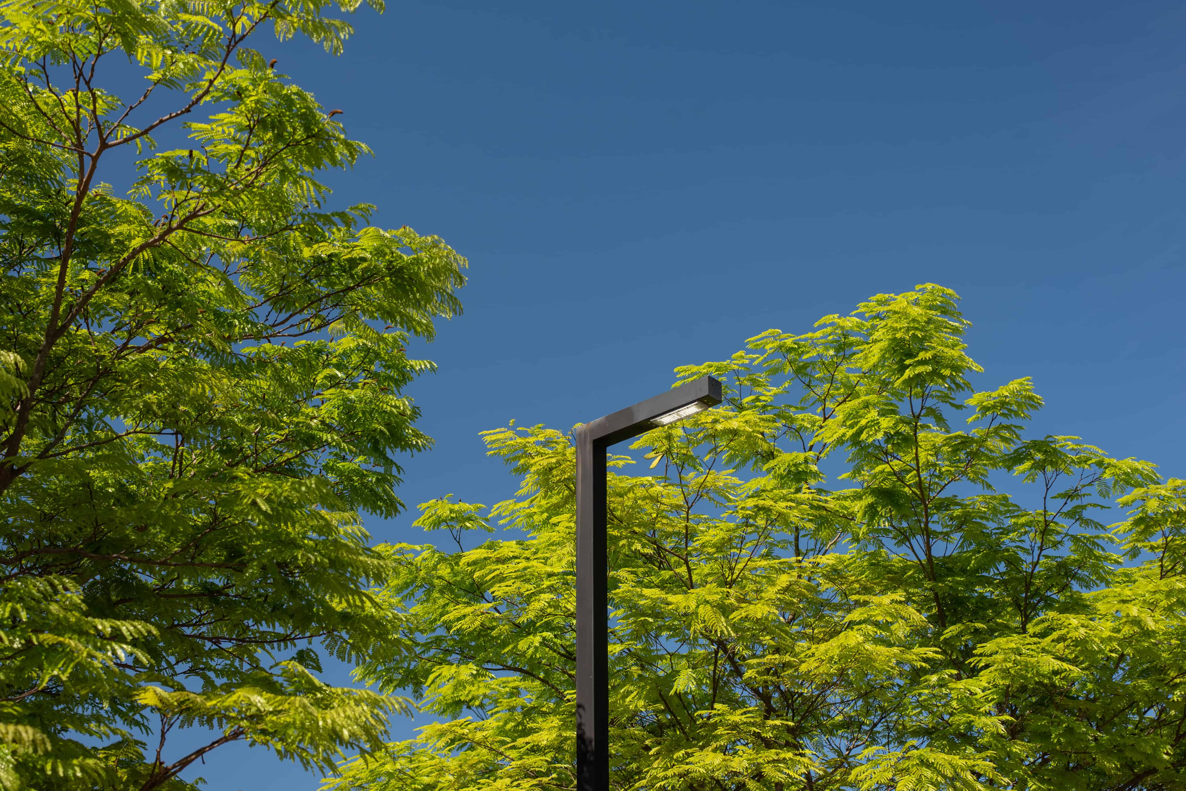 Rua Mista Legano - Imagem 5