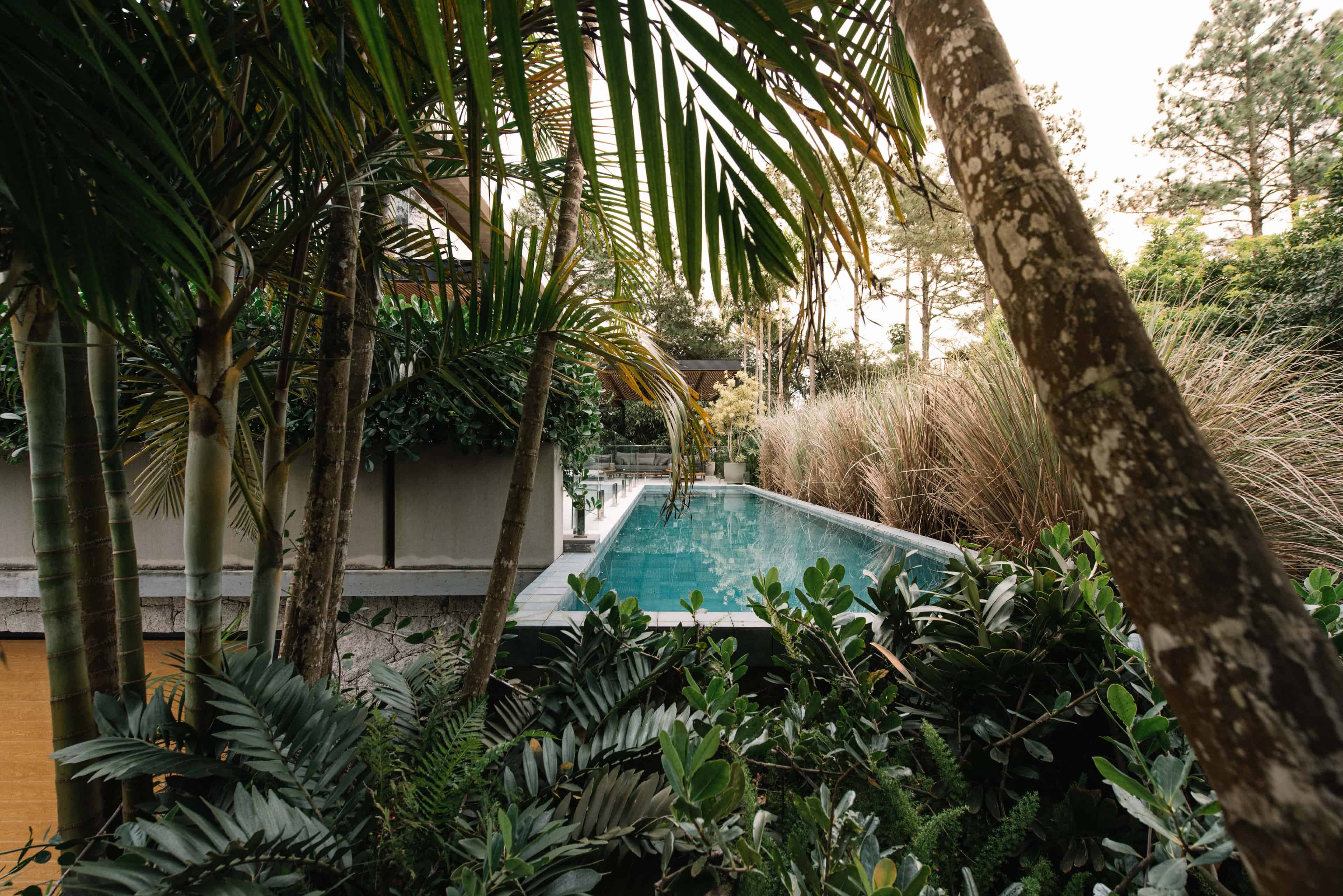 Jardim SVG - Imagem 5