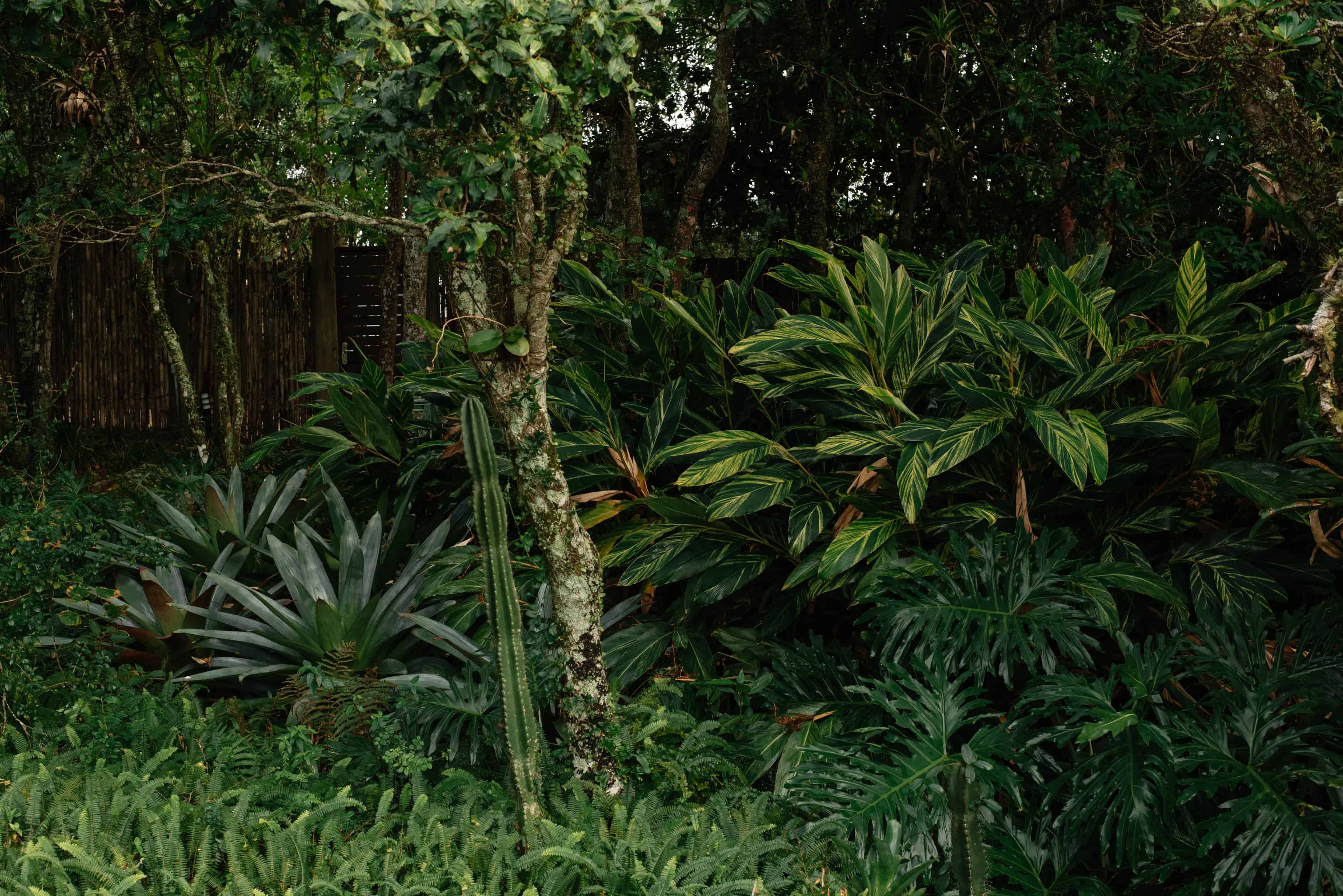 Jardim ATJ - Imagem 2