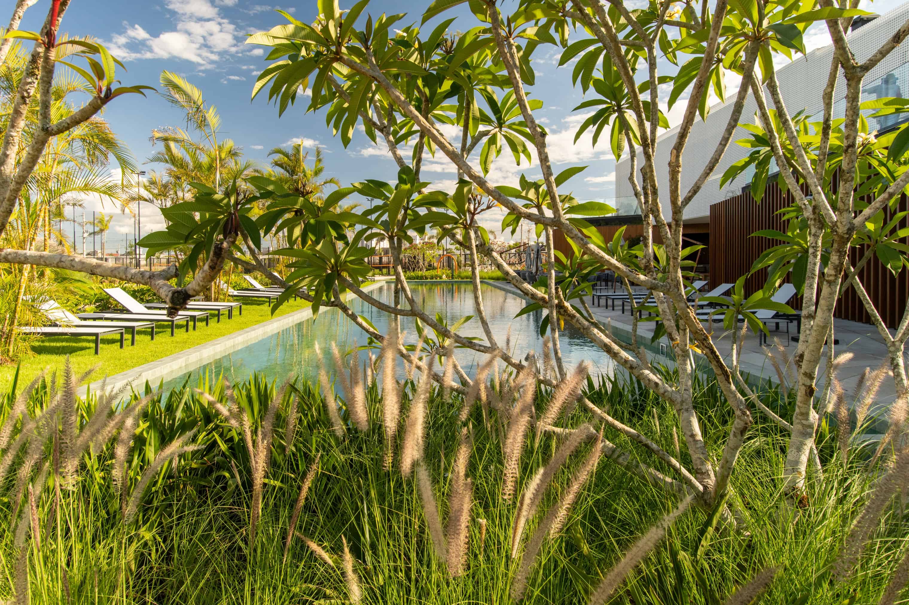 The Garden - Imagem 27