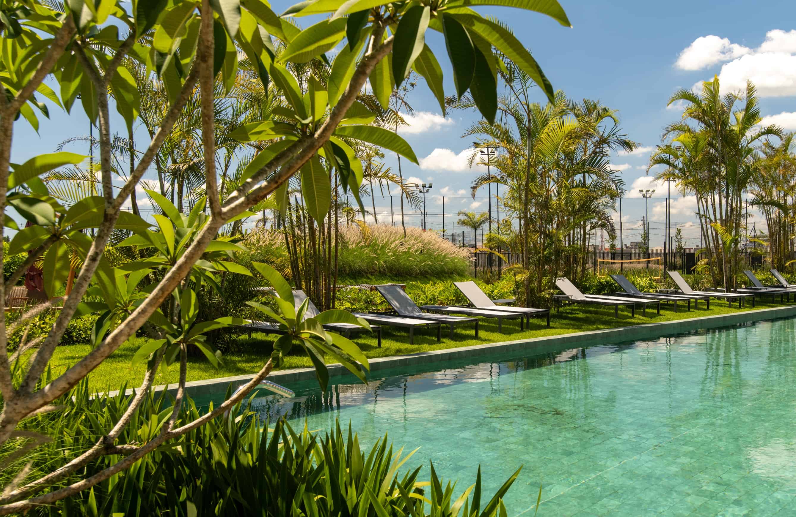 The Garden - Imagem 28