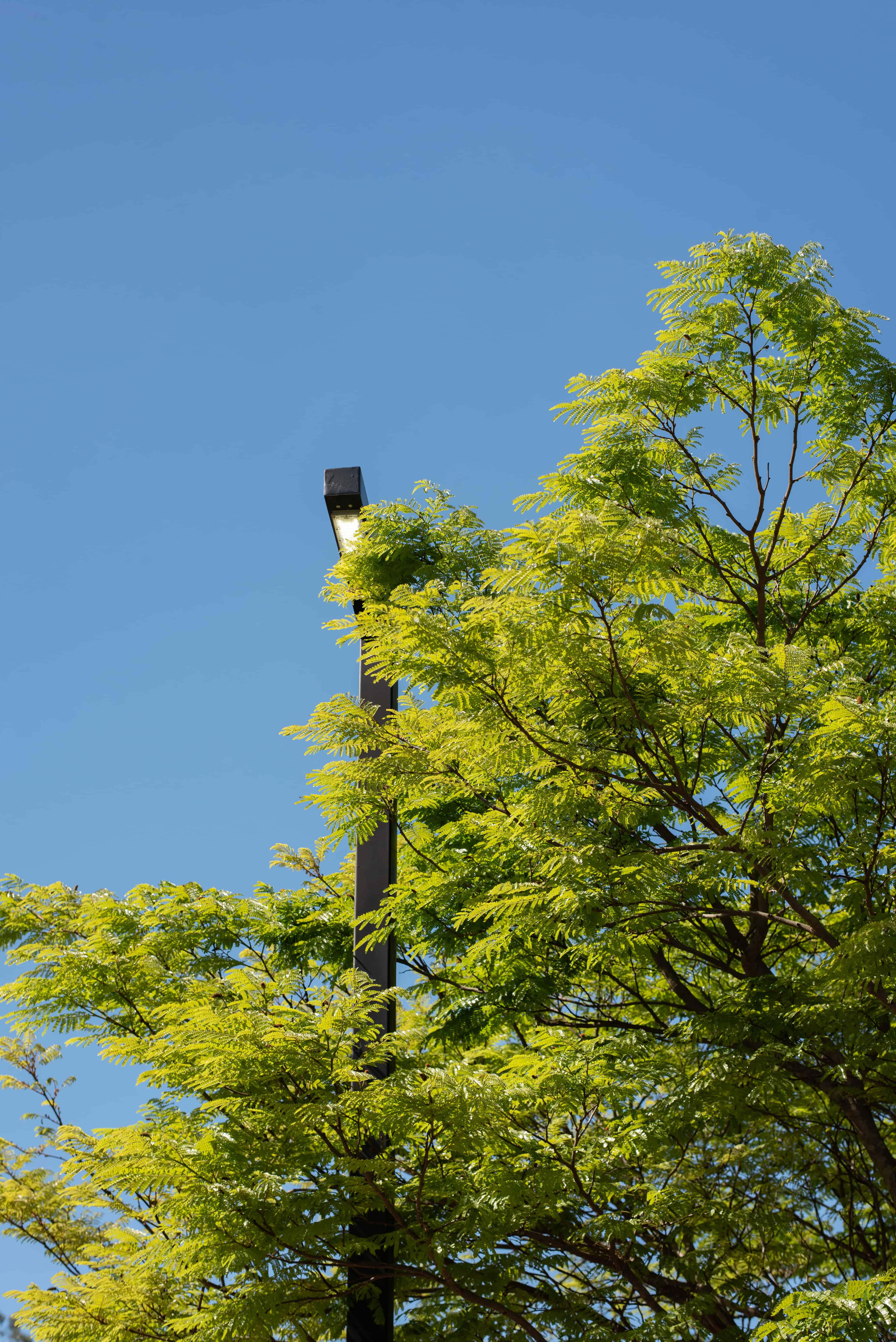 Rua Mista Legano - Imagem 4