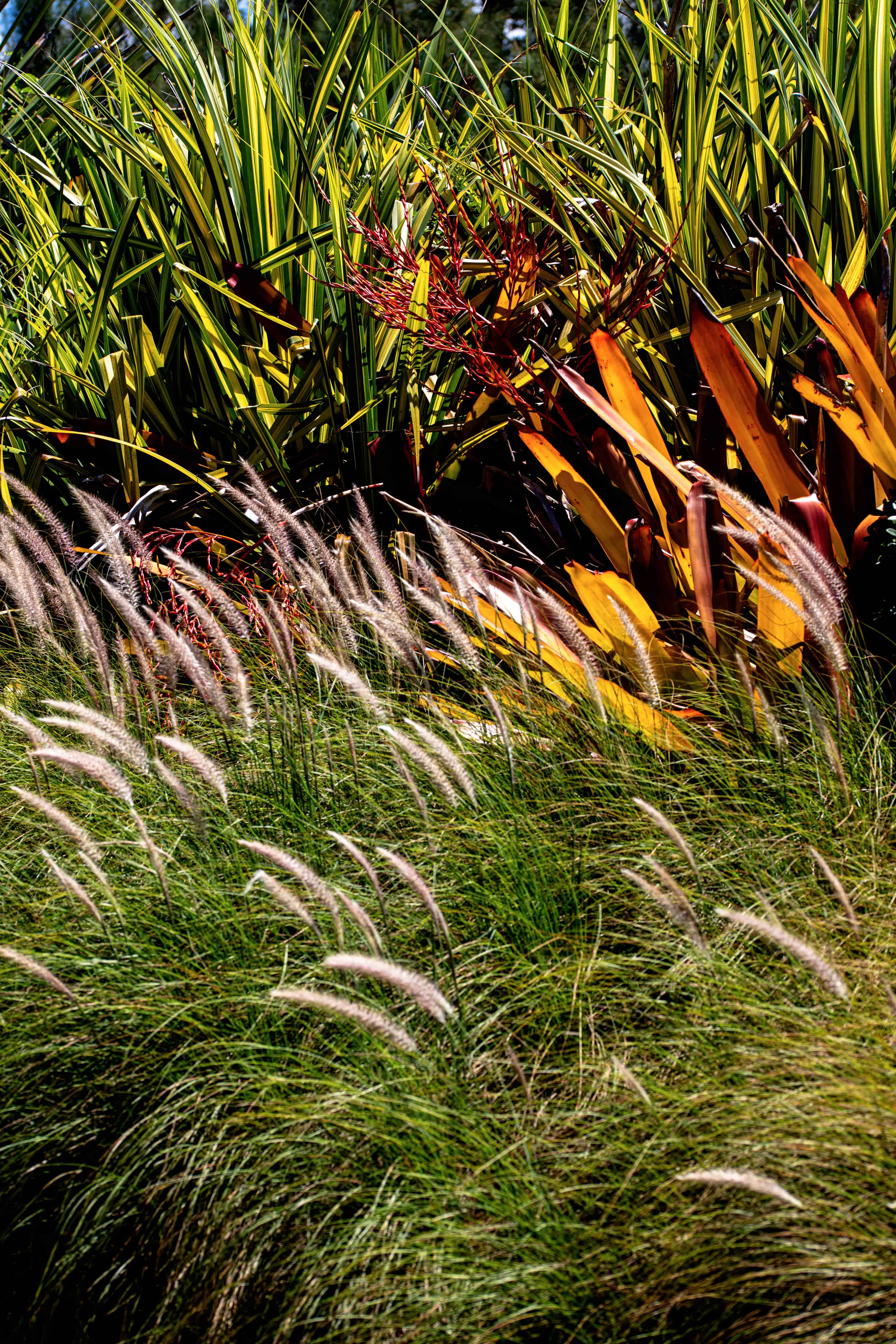 Jardim ADG - Imagem 2