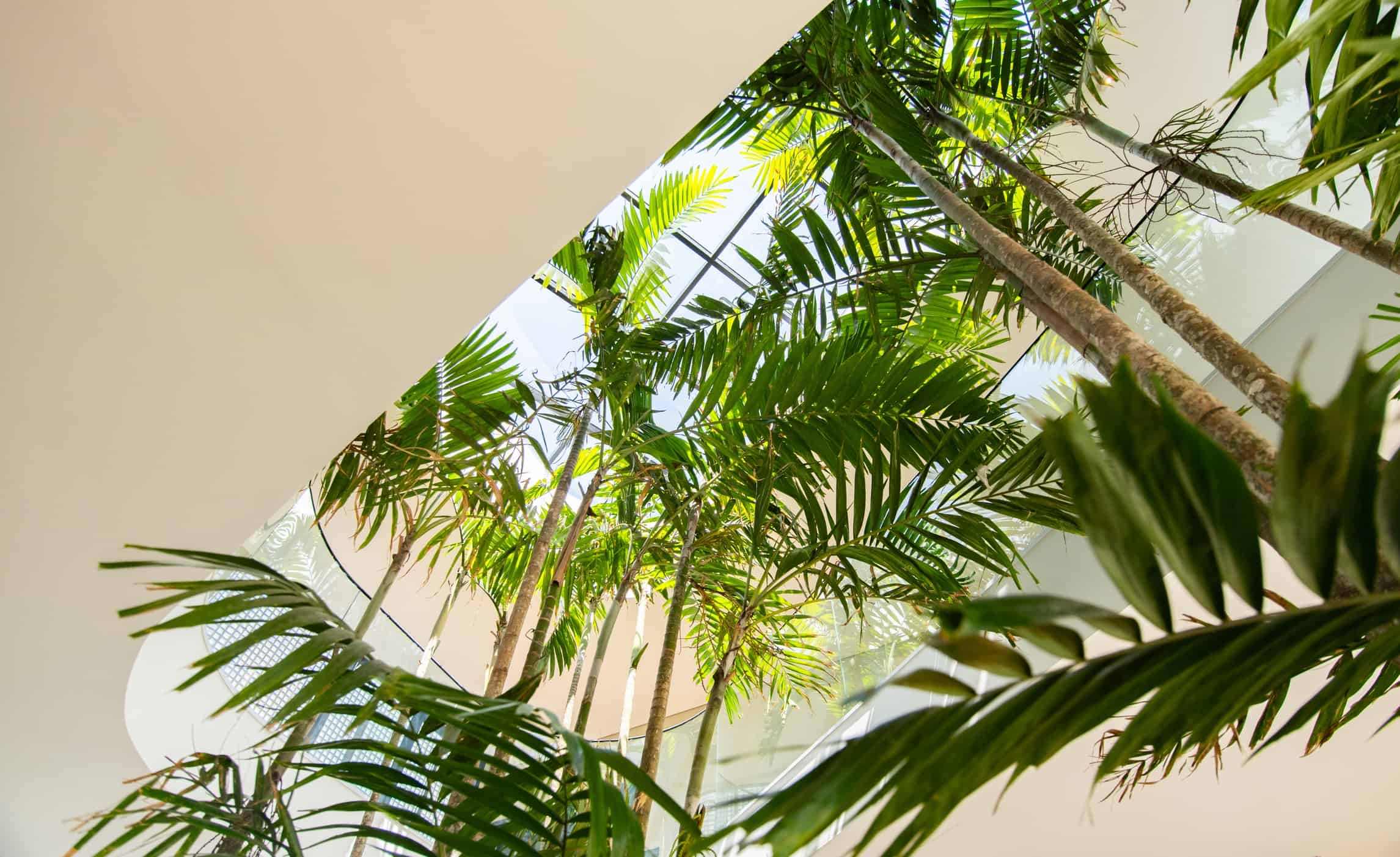 The Garden - Imagem 17