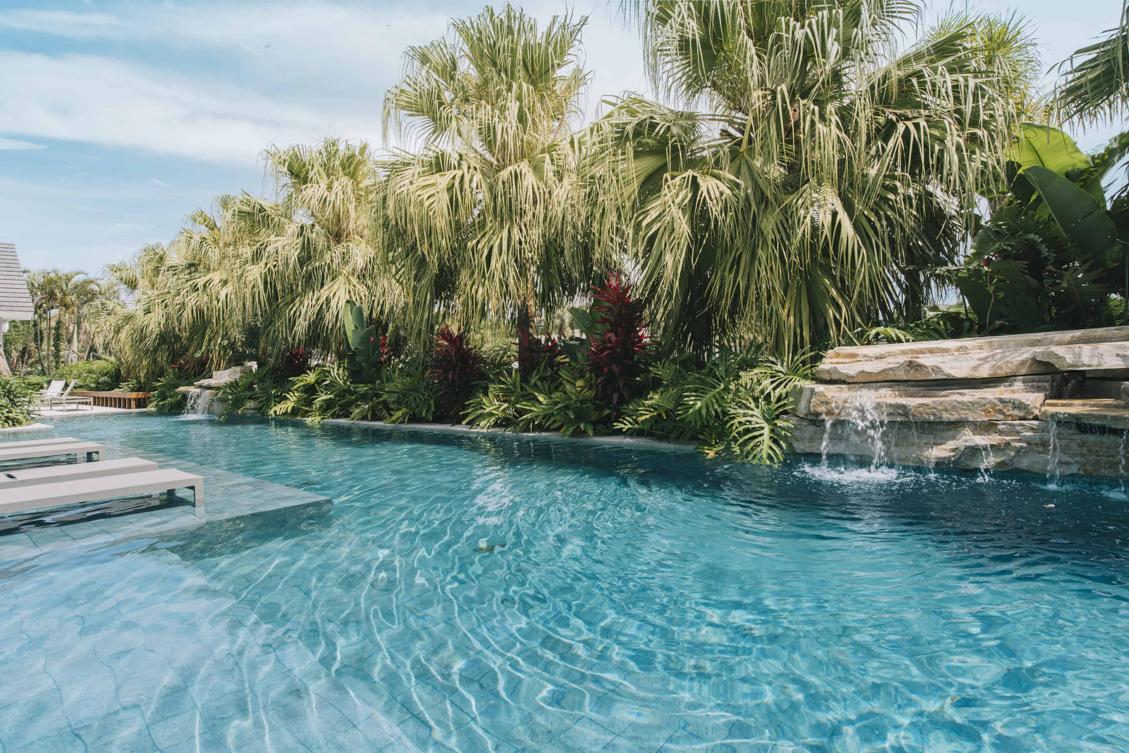 Jardim LTX - Imagem 6