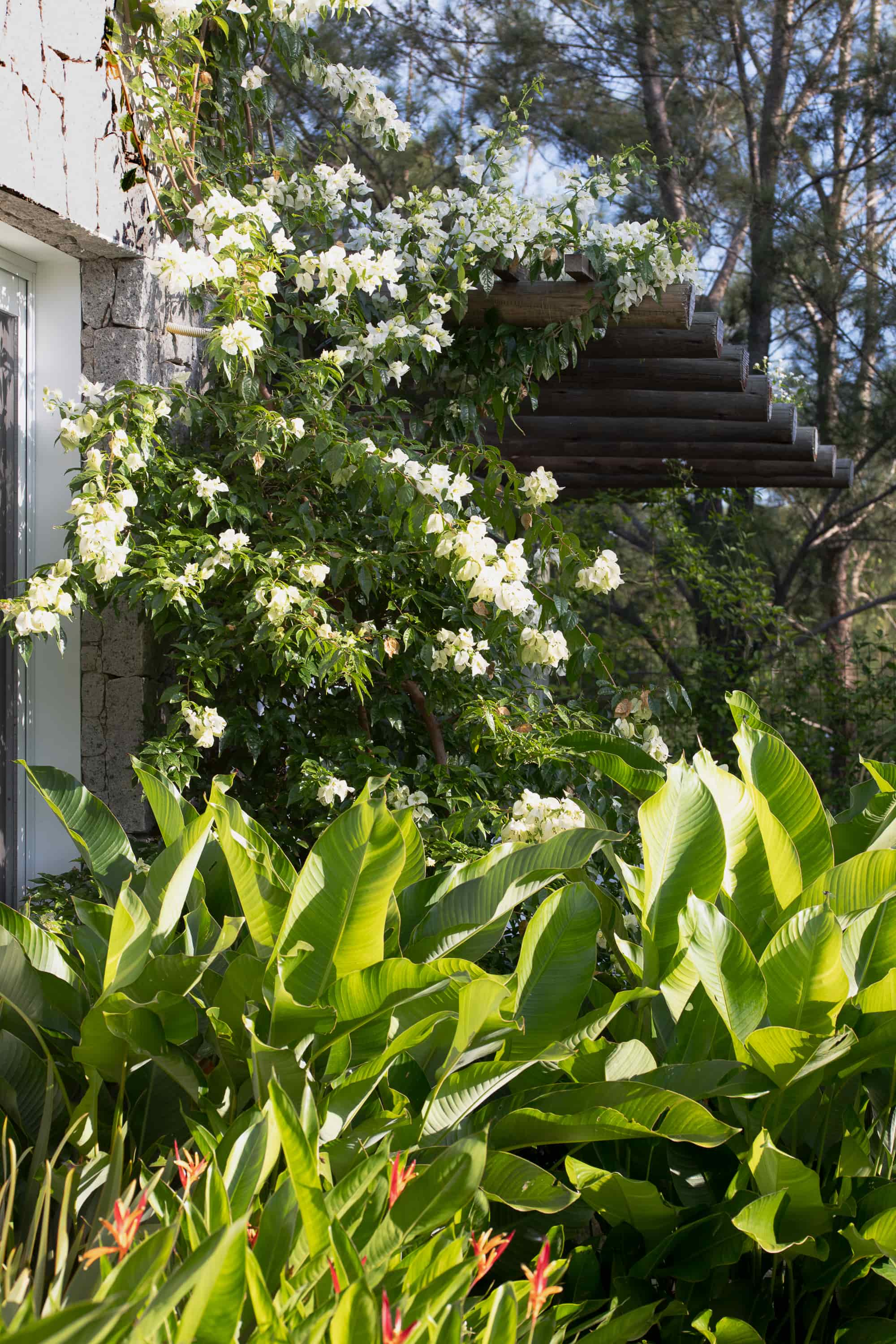 Jardim SGG - Imagem 8