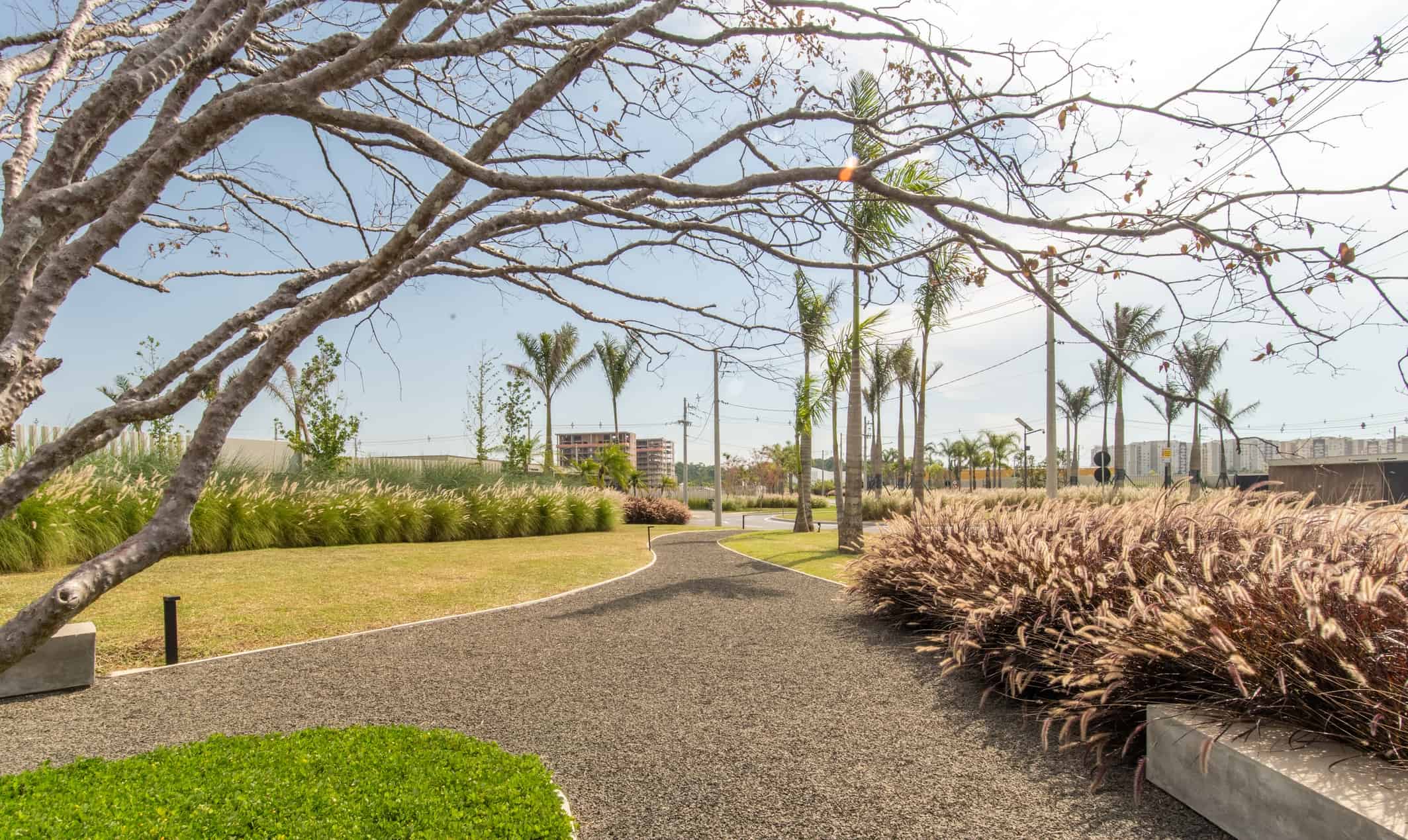 The Garden - Imagem 10