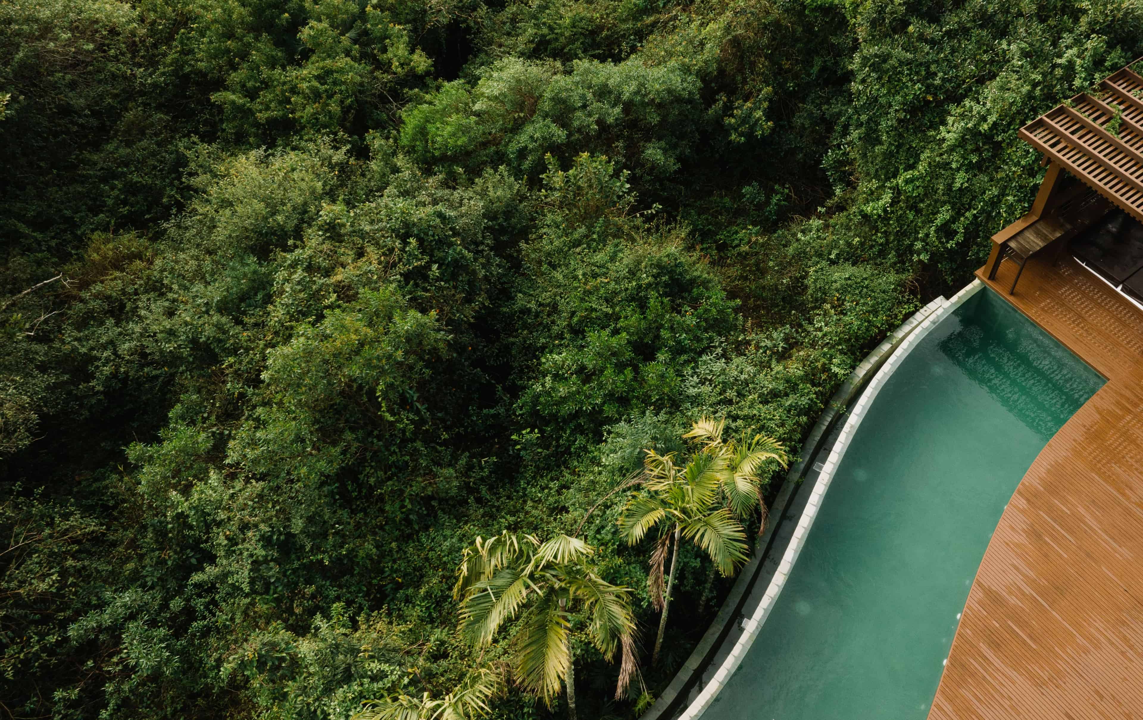 Jardim ATJ - Imagem 3