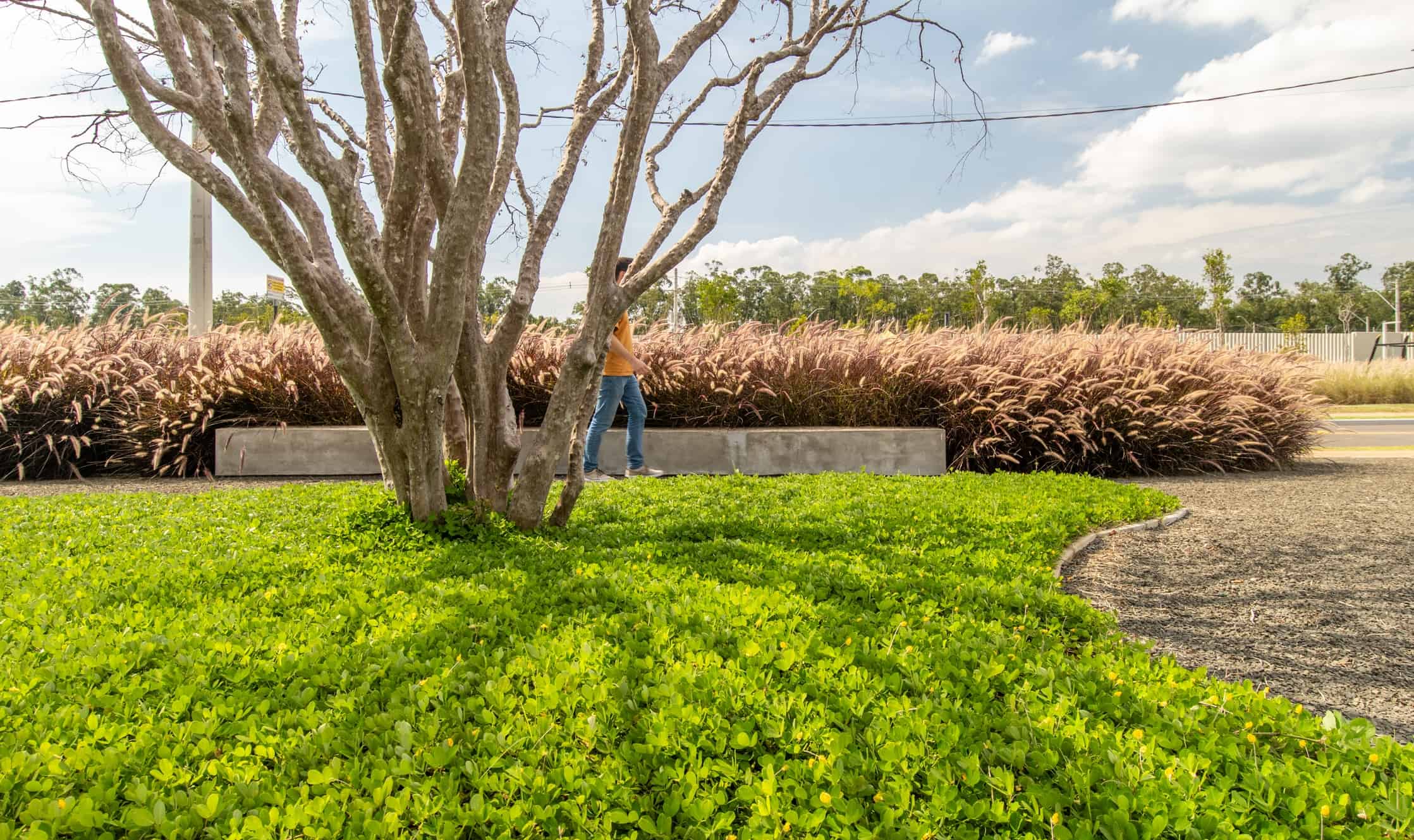 The Garden - Imagem 11