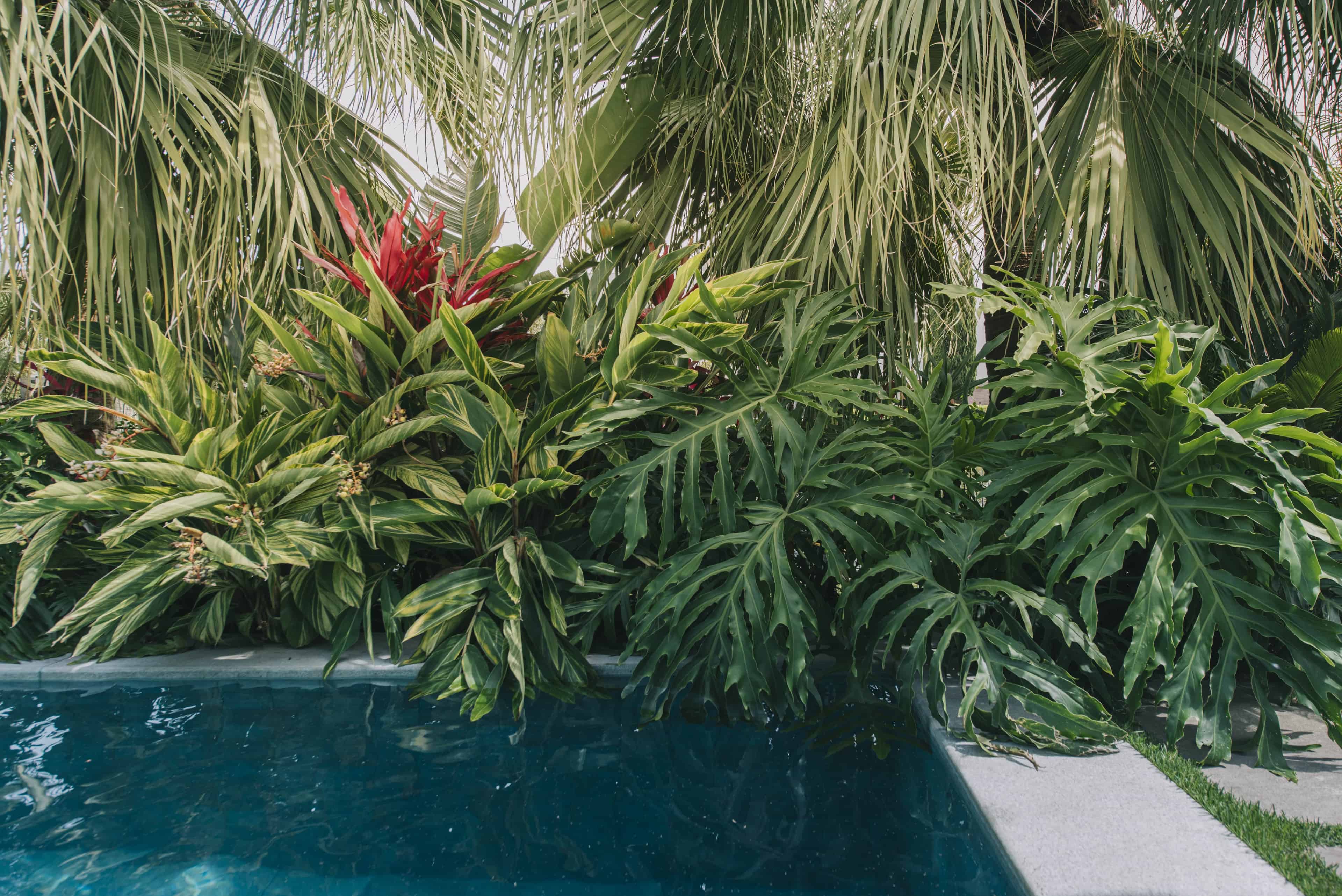 Jardim LTX - Imagem 7