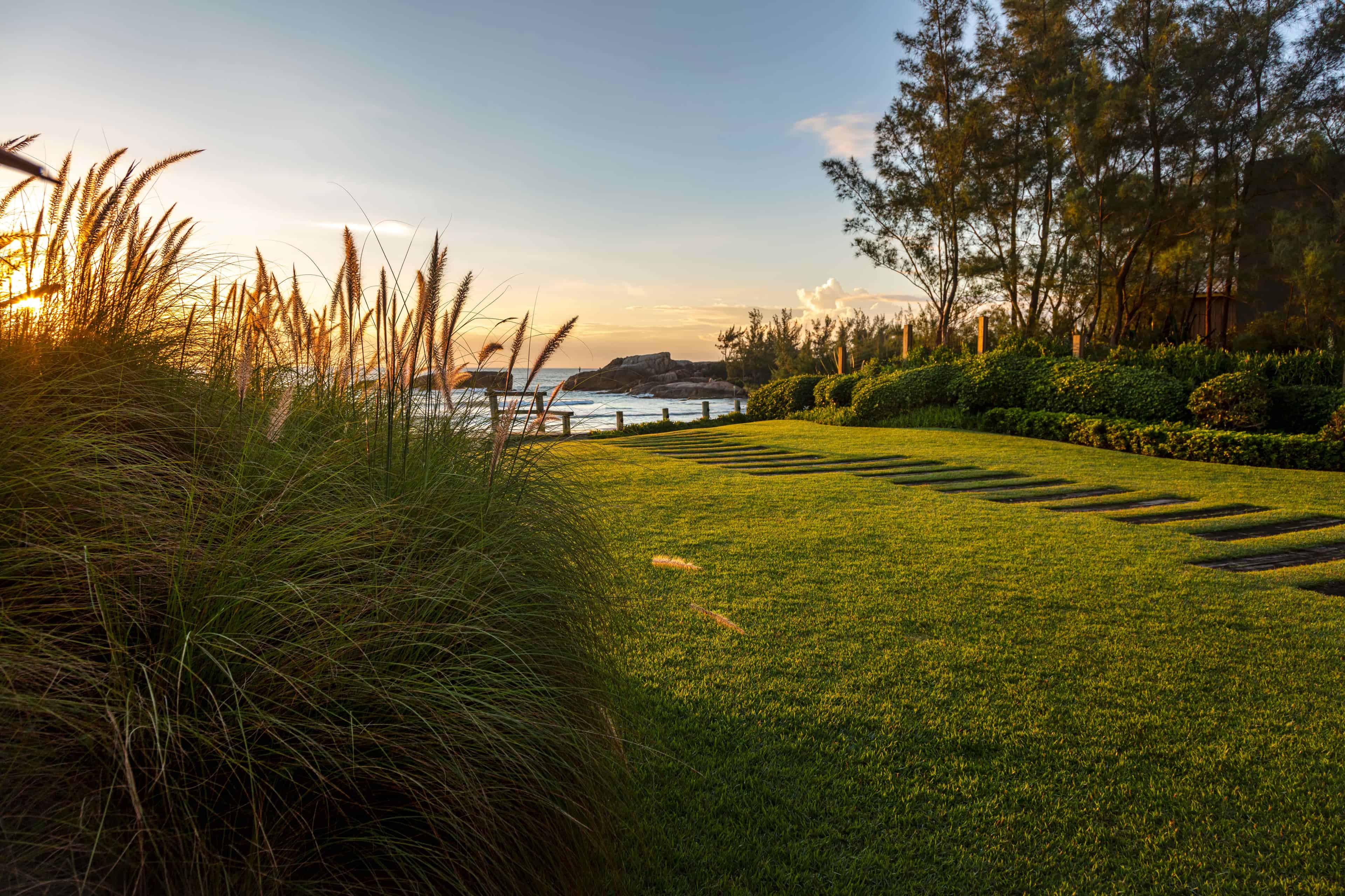 Jardim ADG - Imagem 6