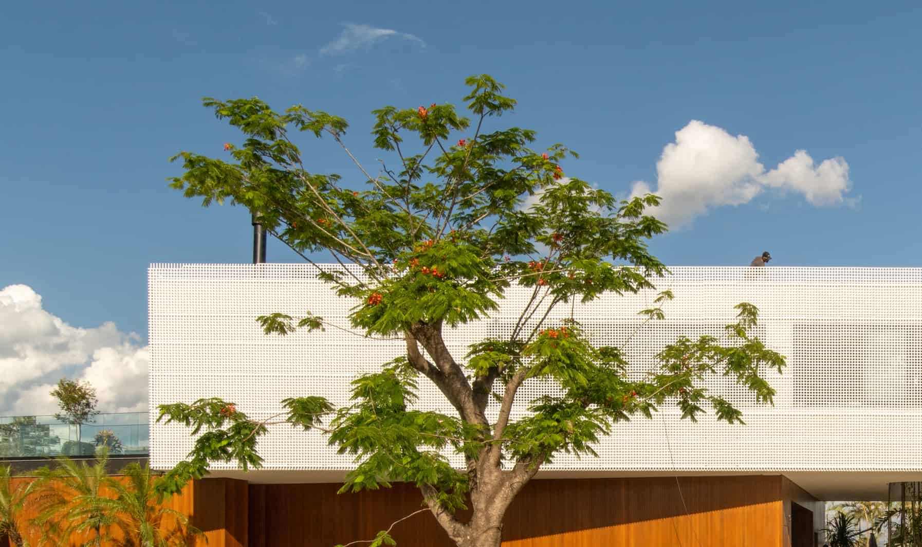 The Garden - Imagem 24