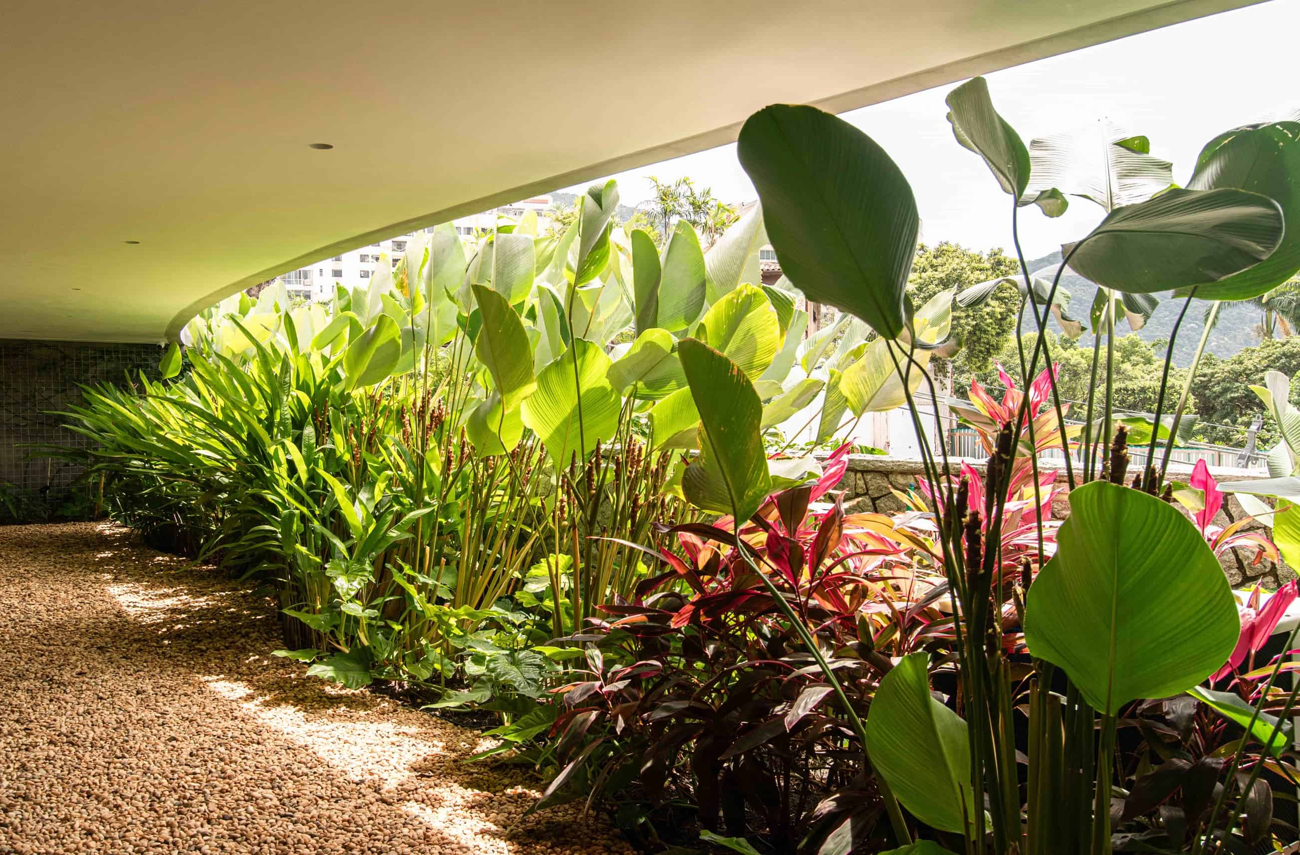 Jardim FLV - Imagem 1