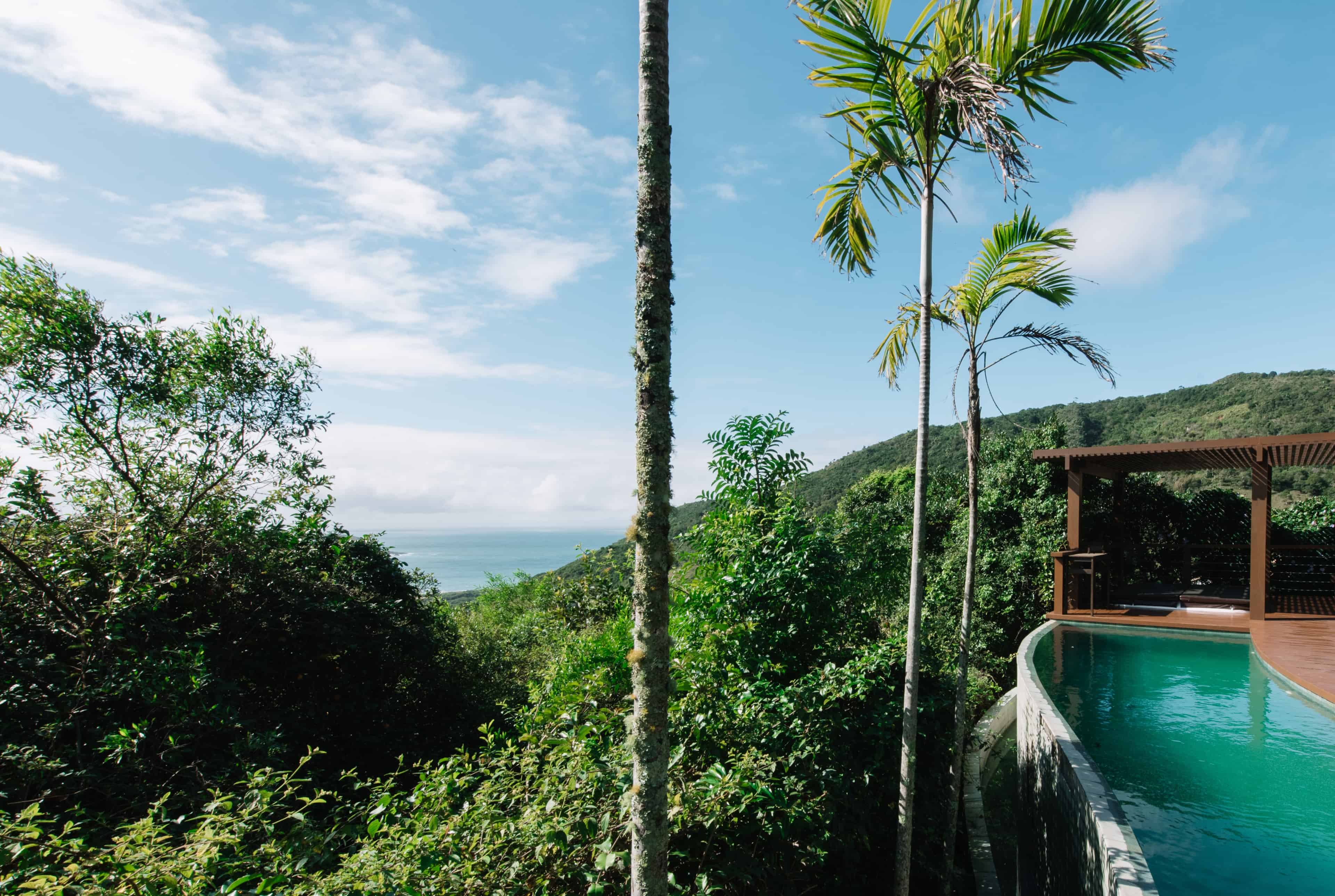 Jardim ATJ - Imagem 5