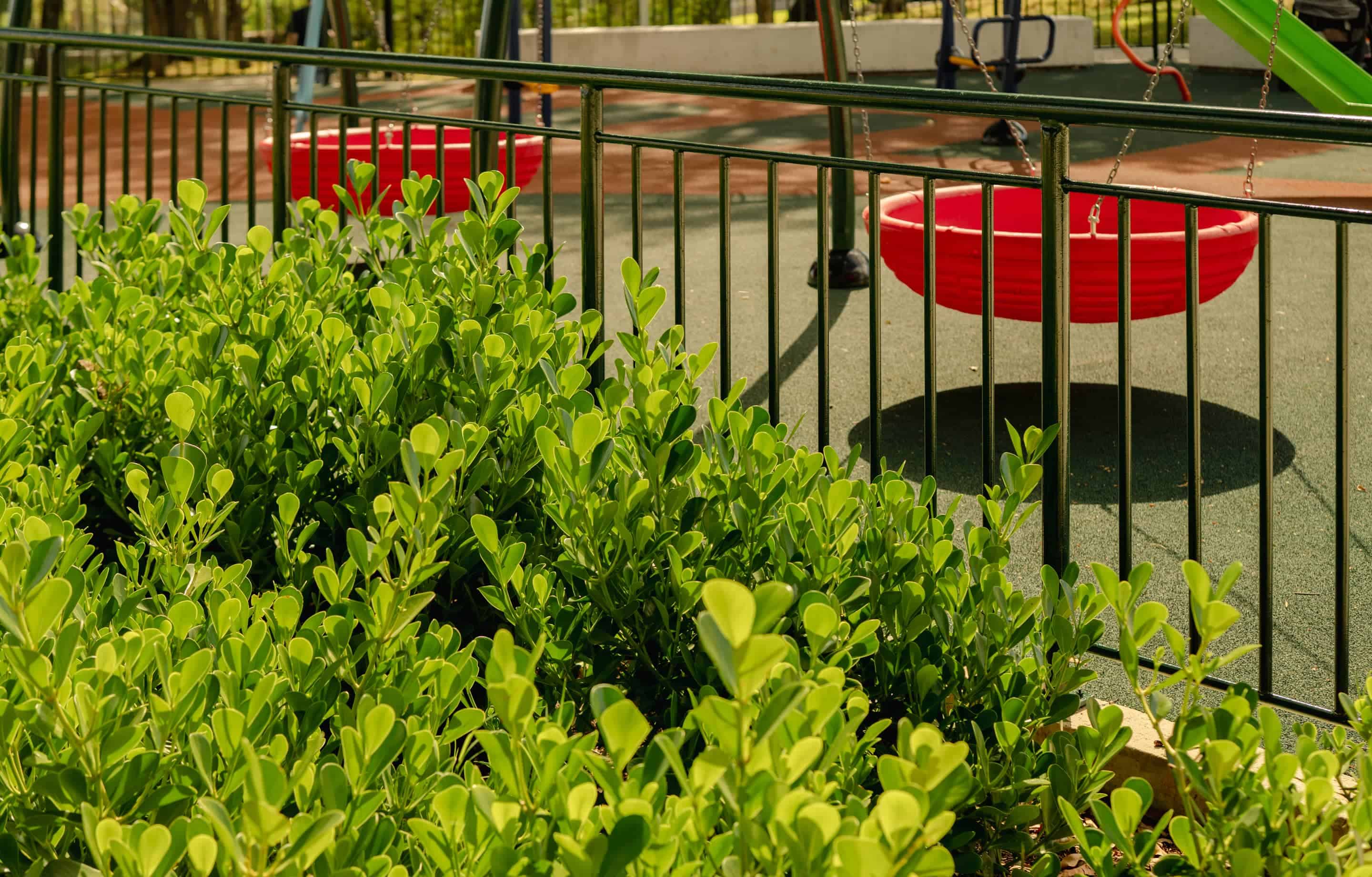 Praça José Luiz Fernandes Cogo - Imagem 6