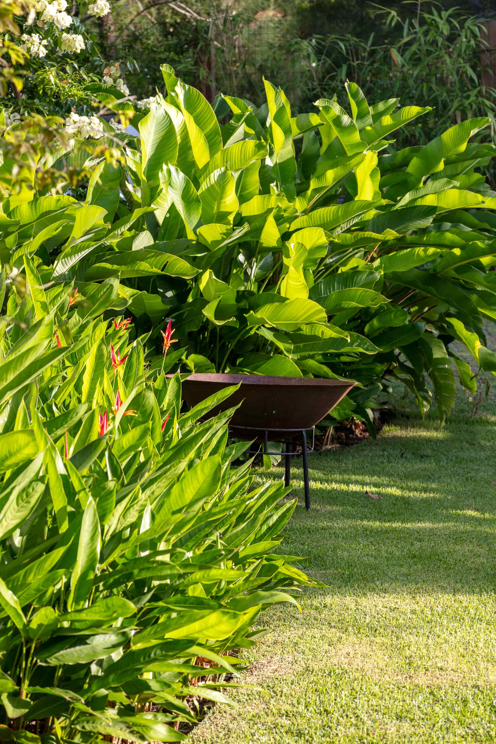 Jardim SGG - Imagem 6