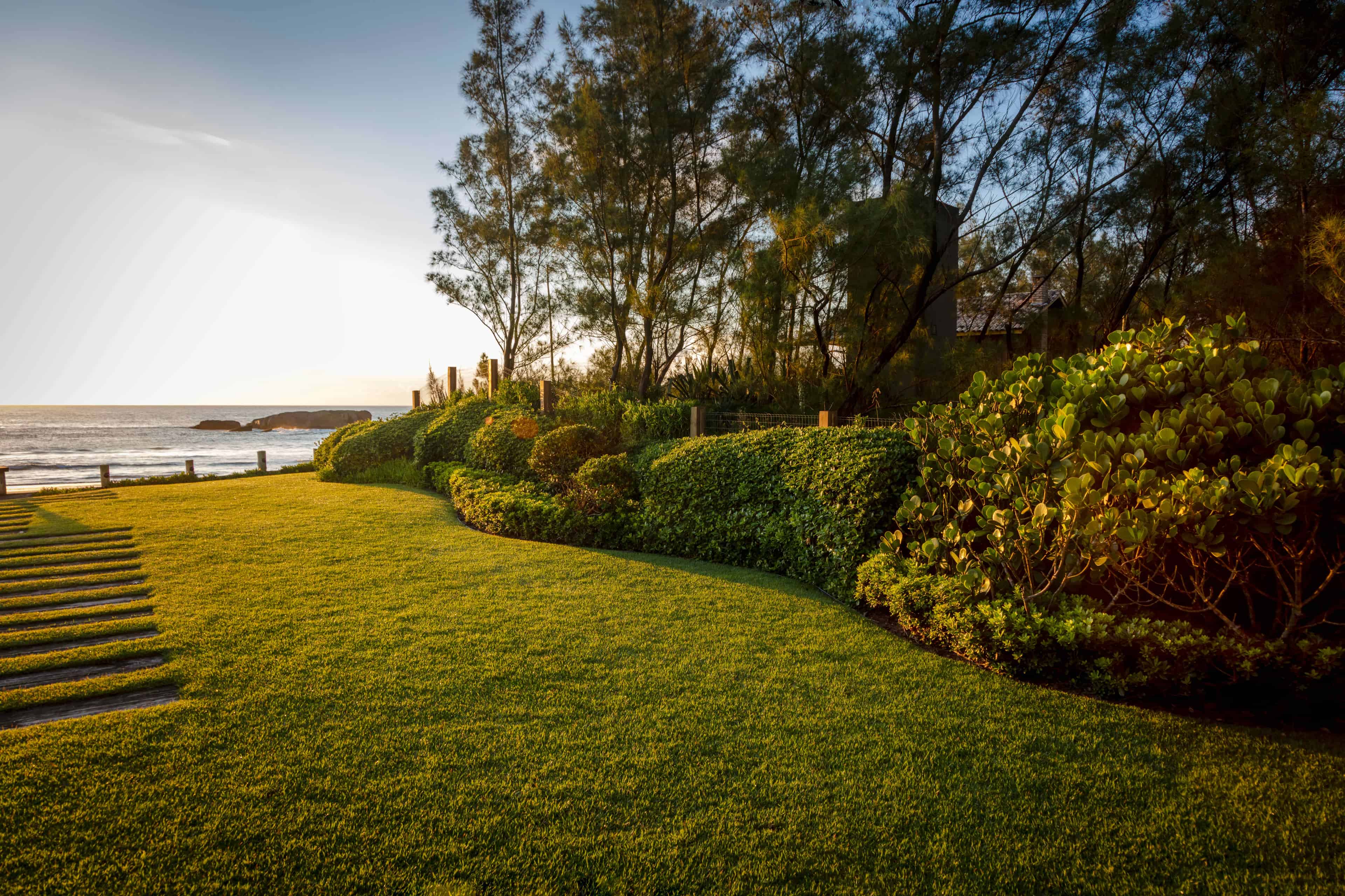 Jardim ADG - Imagem 5