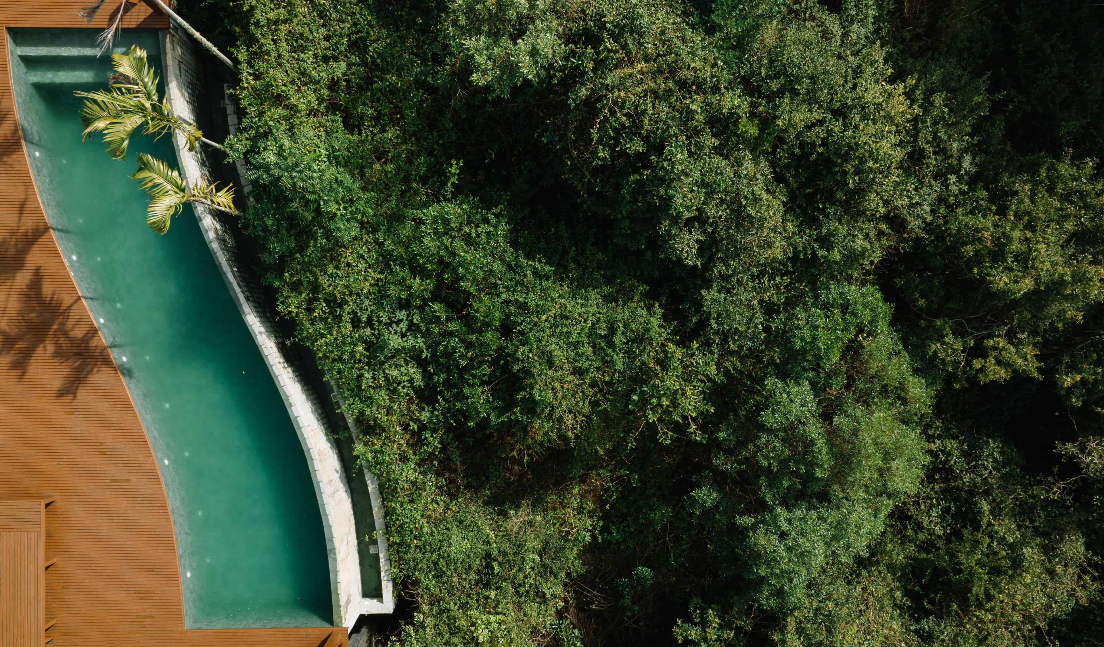 Jardim ATJ - Imagem 8