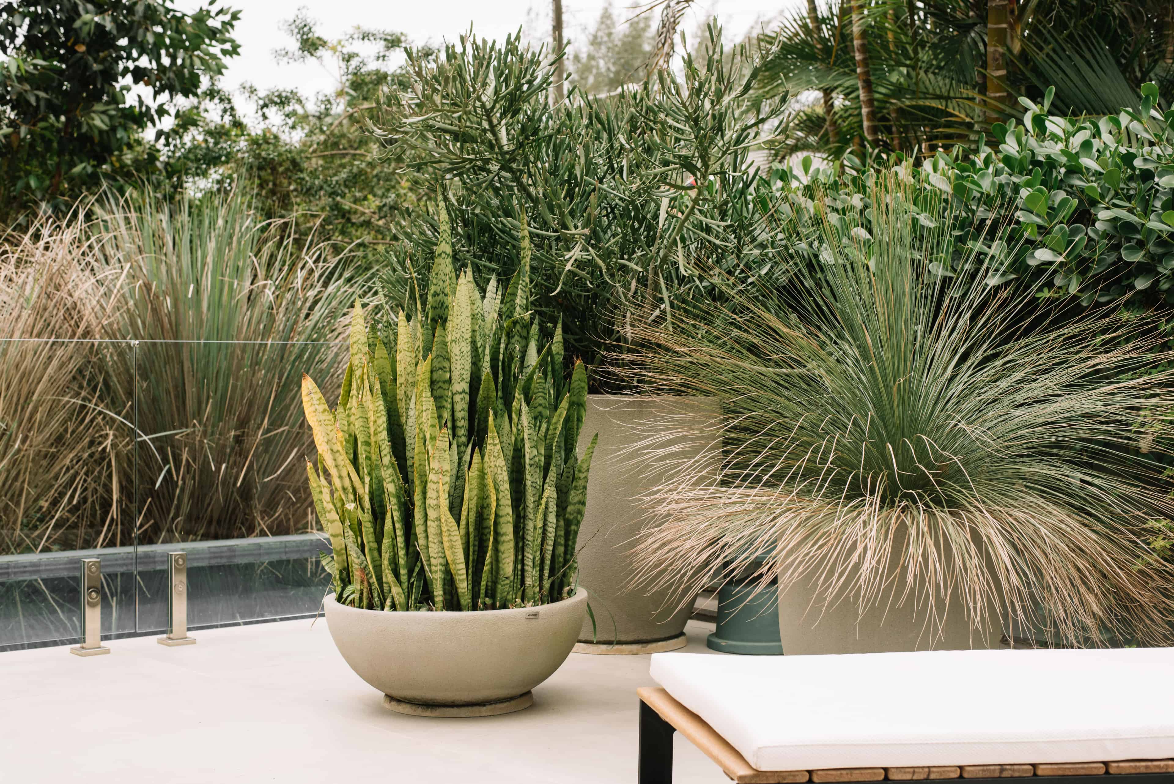 Jardim SVG - Imagem 4