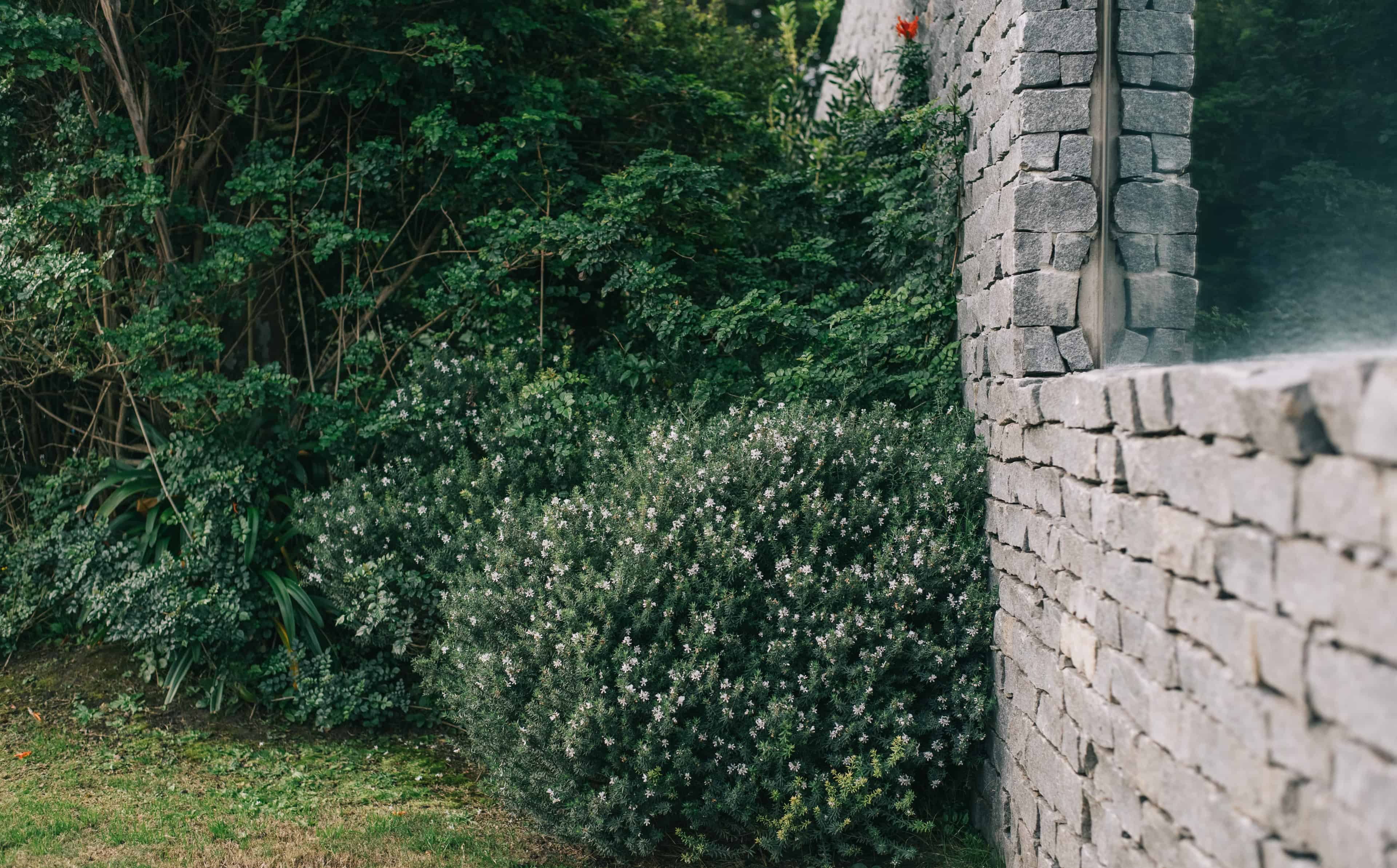 Jardim MALU - Imagem 3