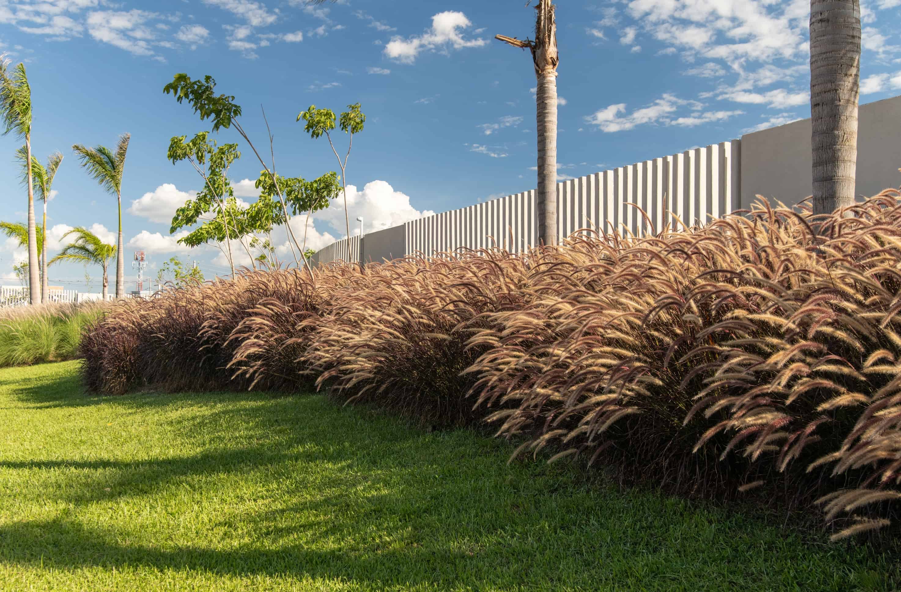 The Garden - Imagem 23