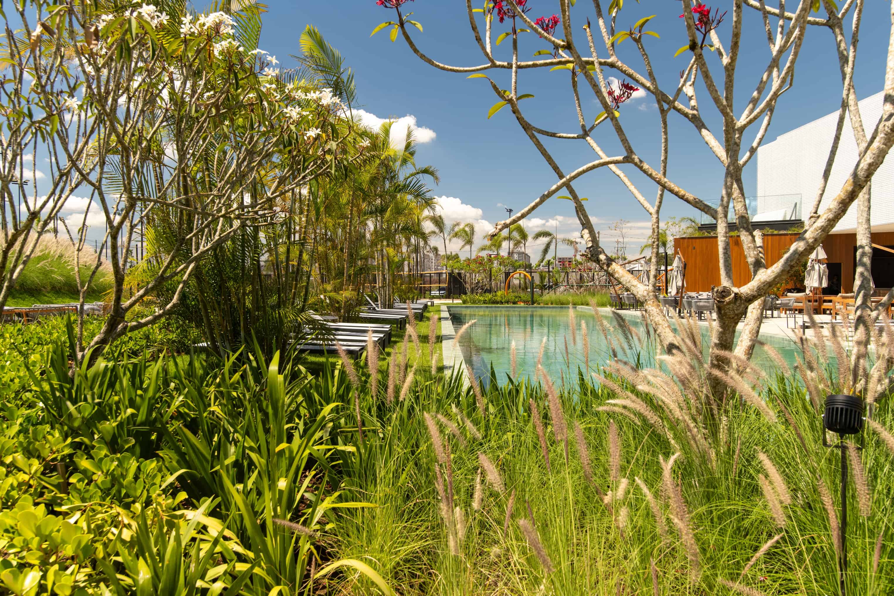 The Garden - Imagem 21