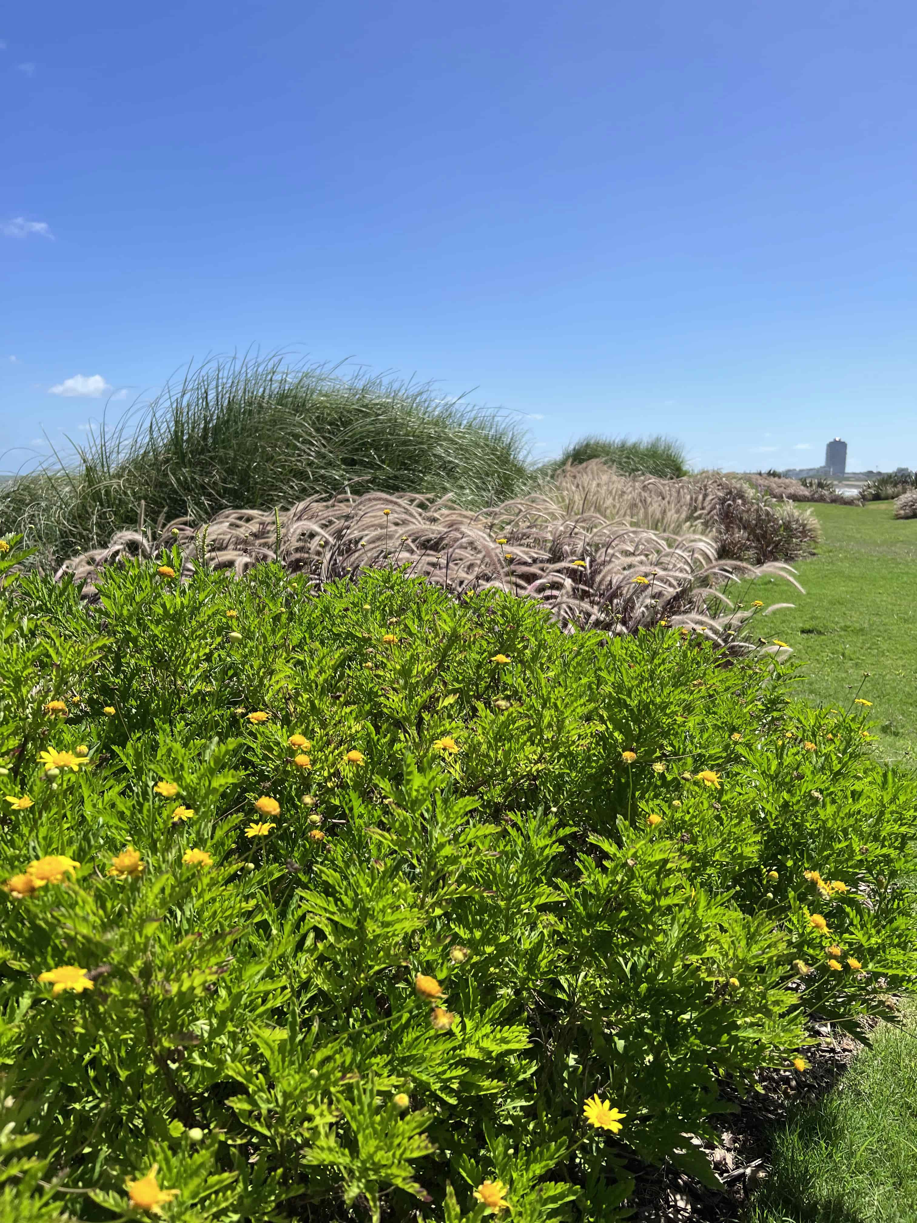 Edifício PAIX - Imagem 5