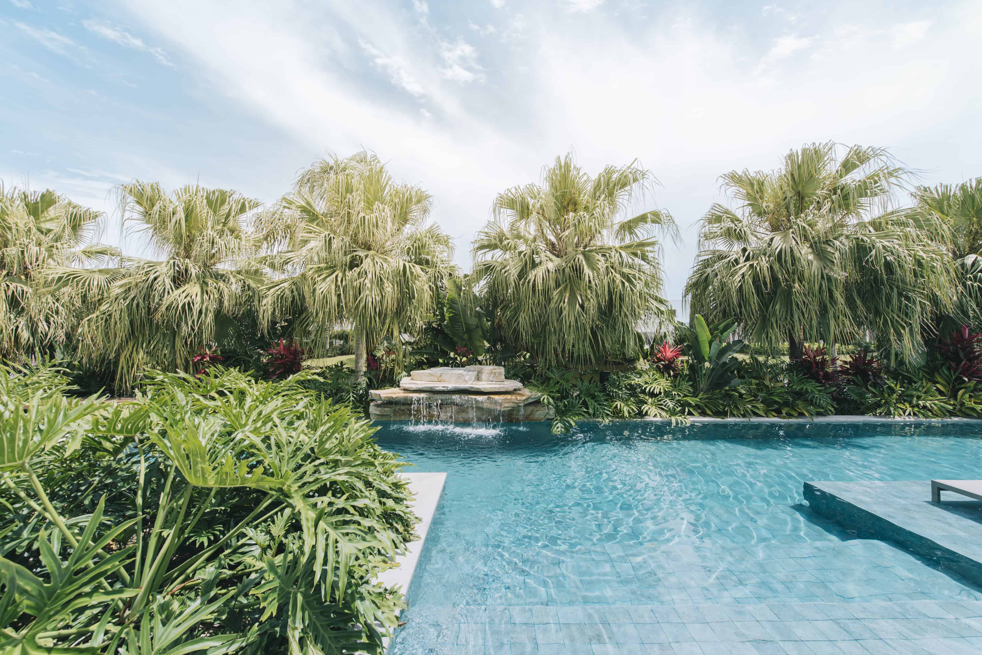 Jardim LTX - Imagem 3