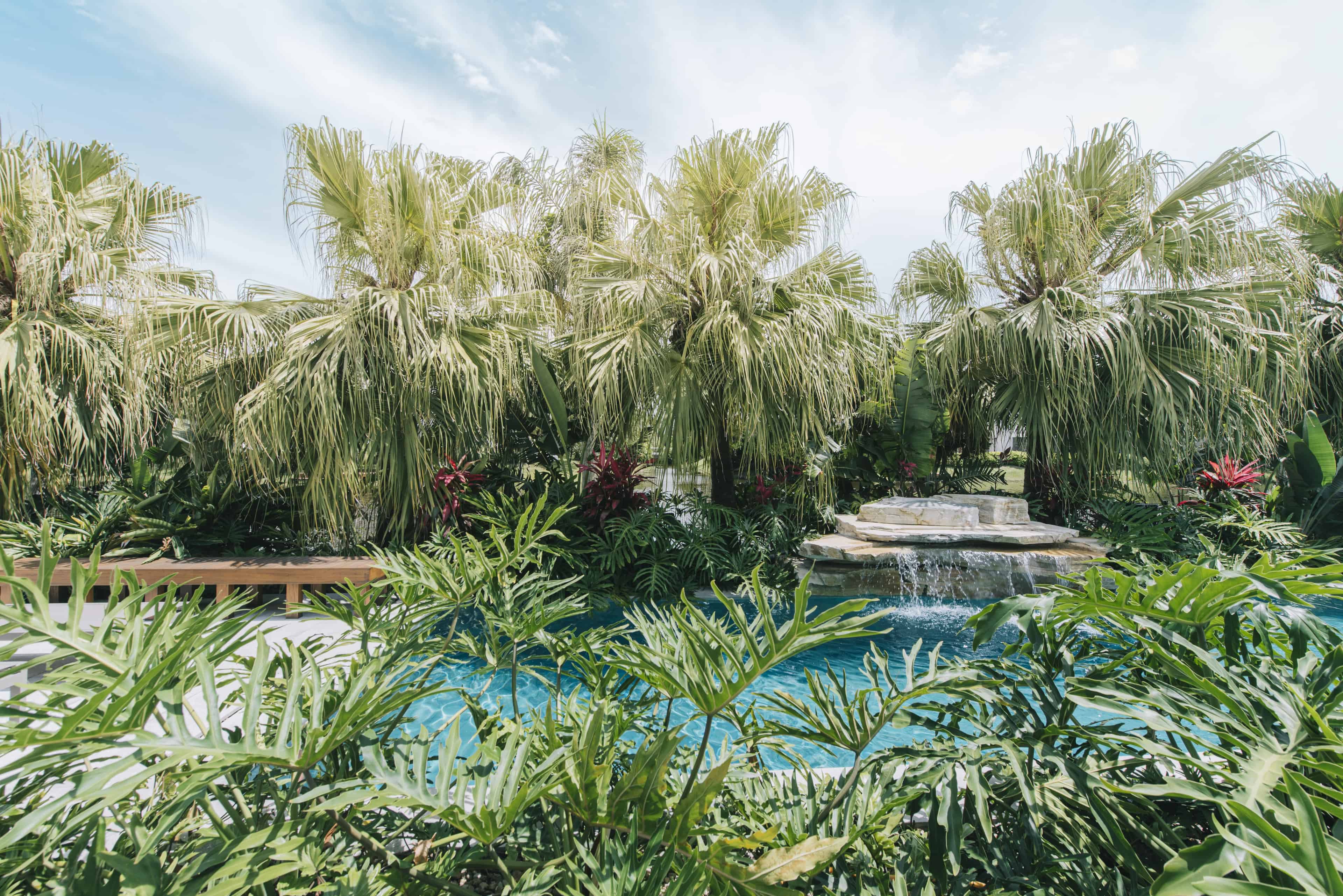 Jardim LTX - Imagem 4