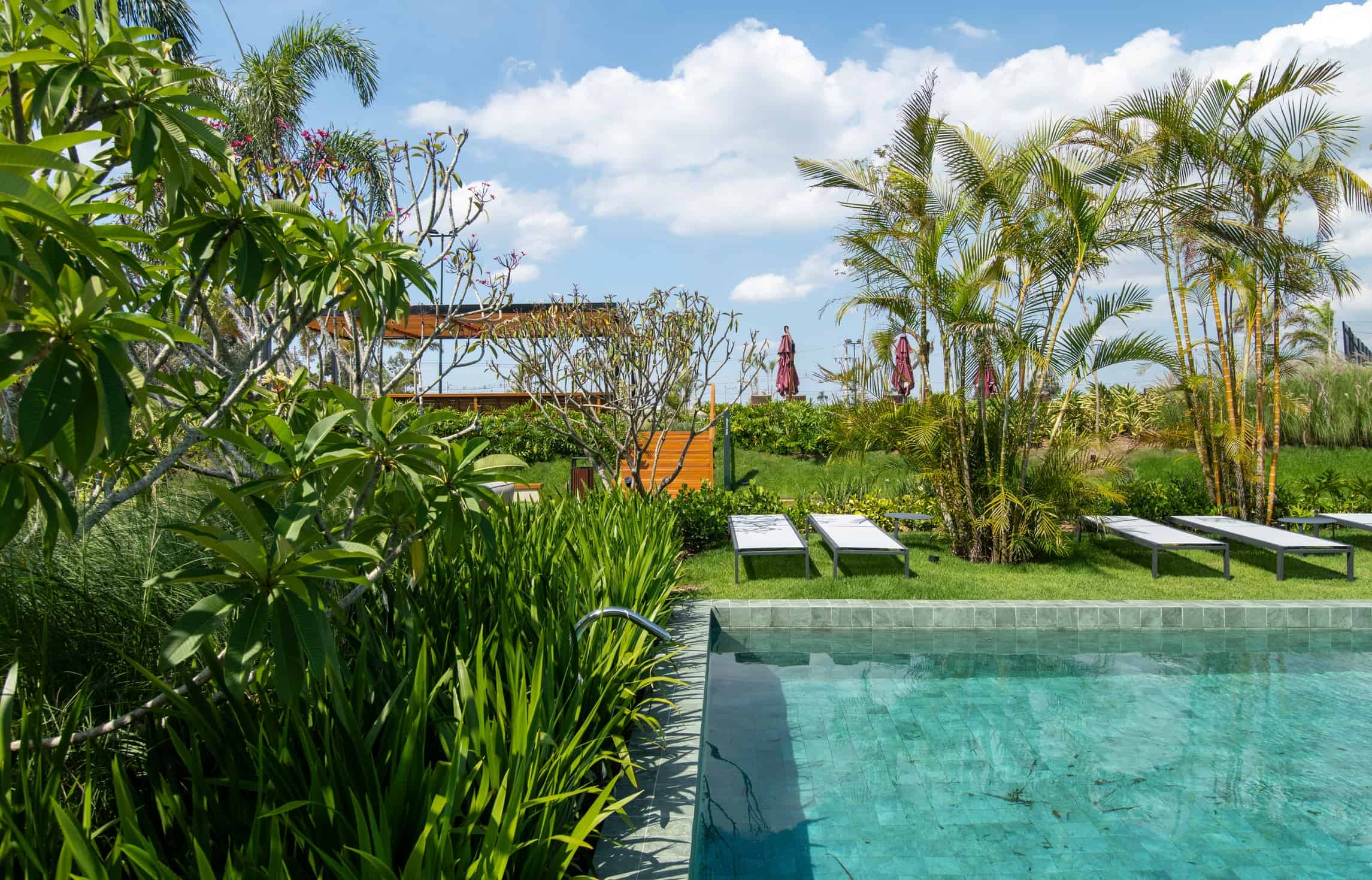 The Garden - Imagem 7