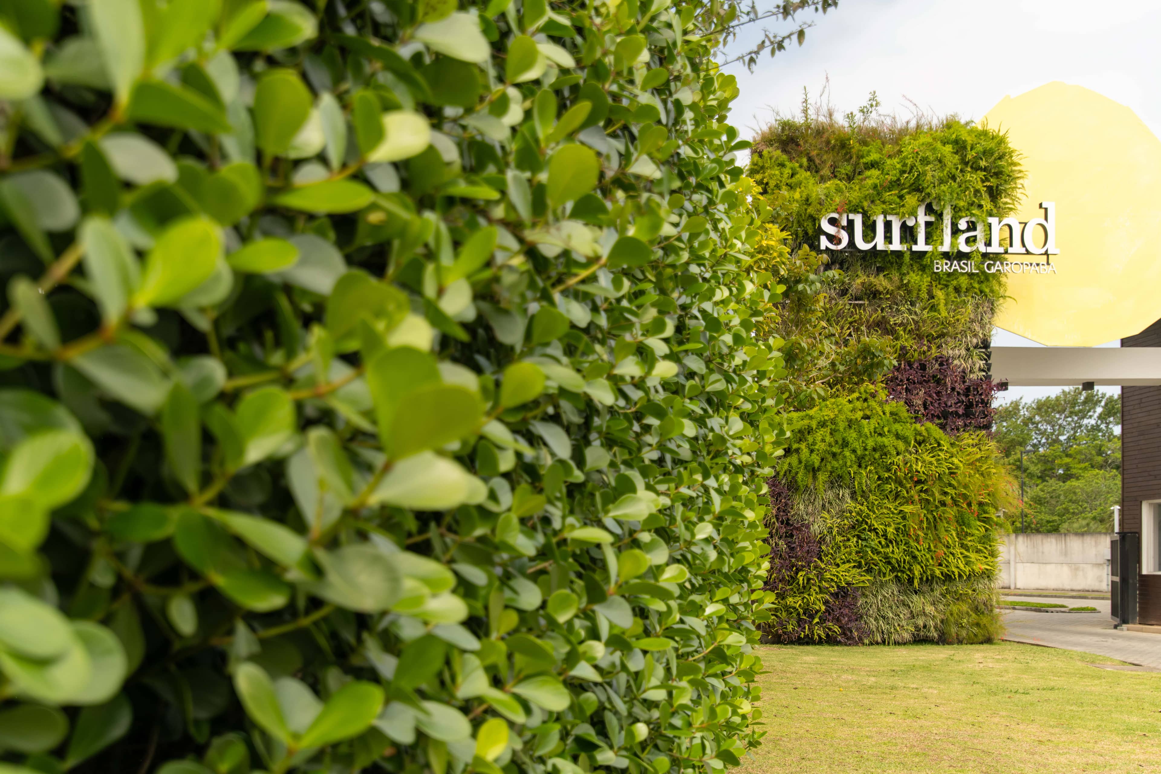 Surfland - Imagem 2