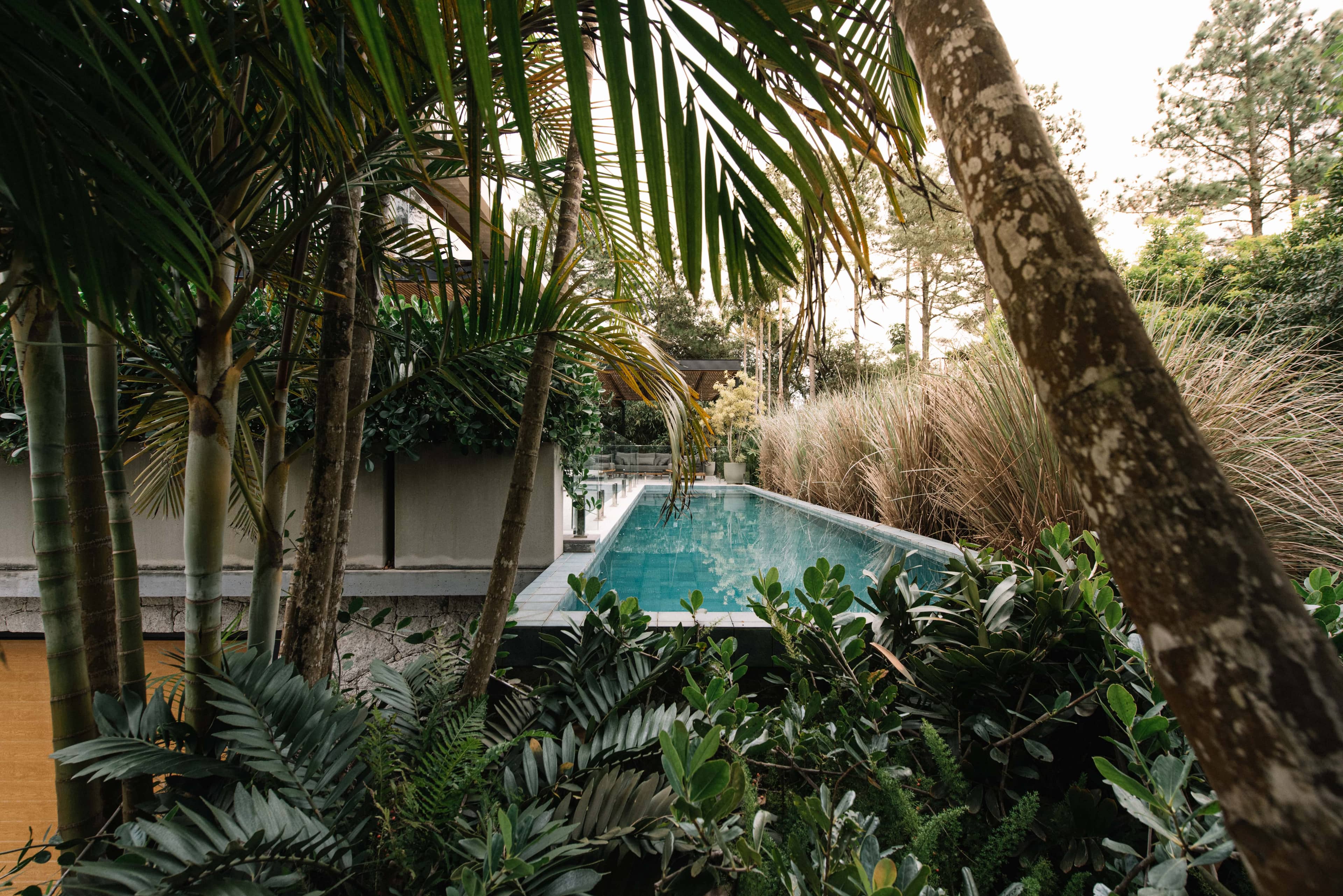 Jardim SVG - Imagem 5