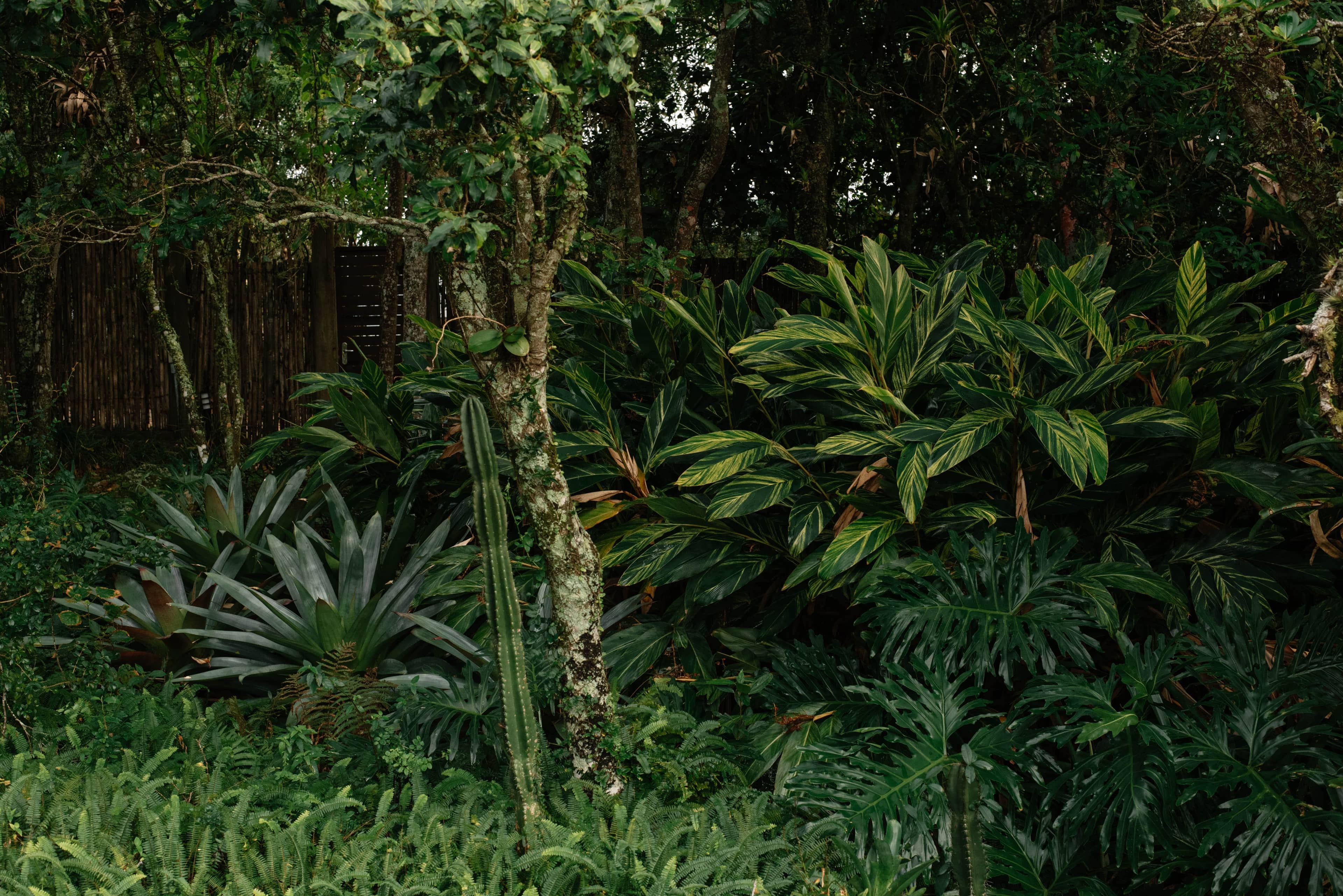 Jardim ATJ - Imagem 2