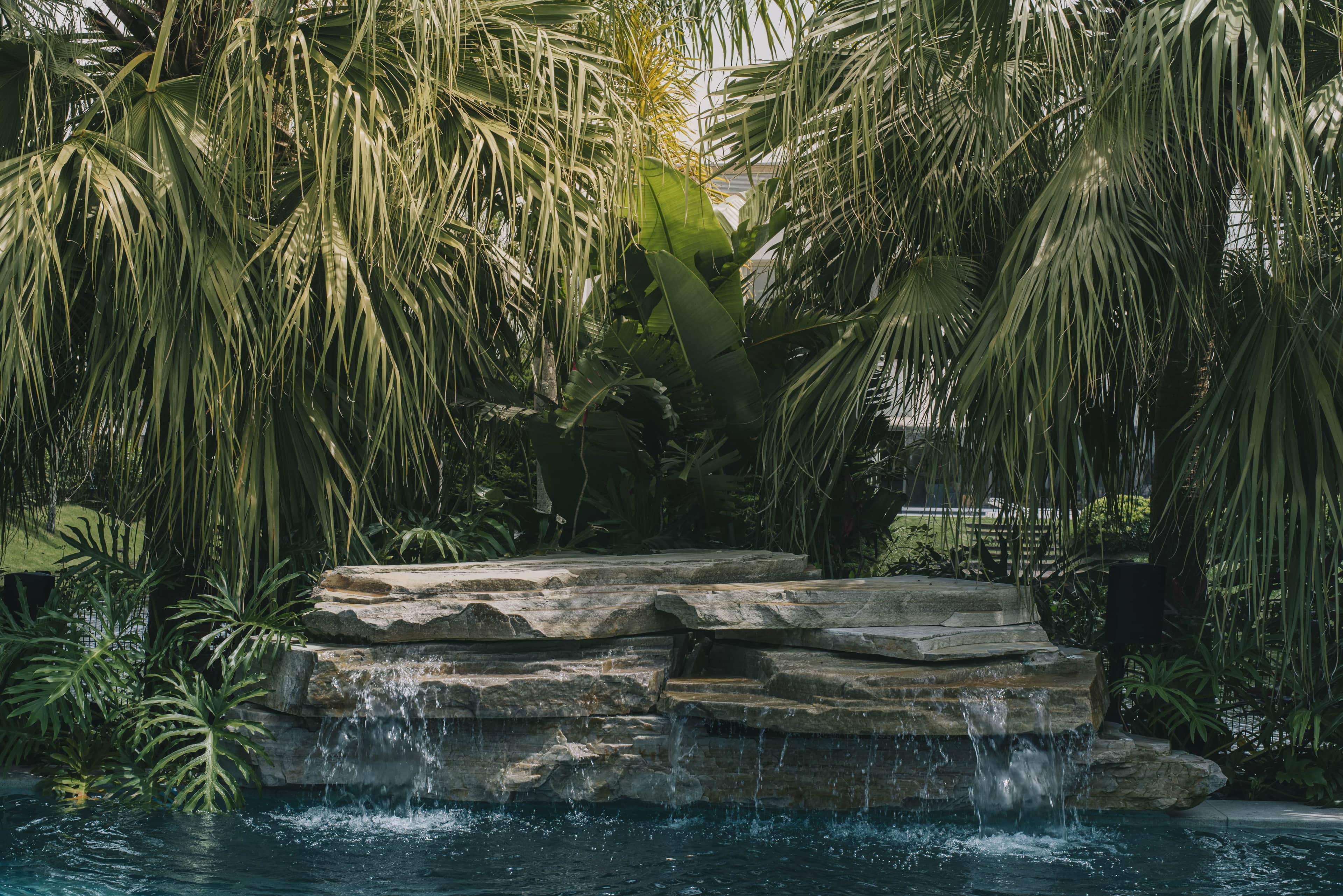 Jardim LTX - Imagem 9
