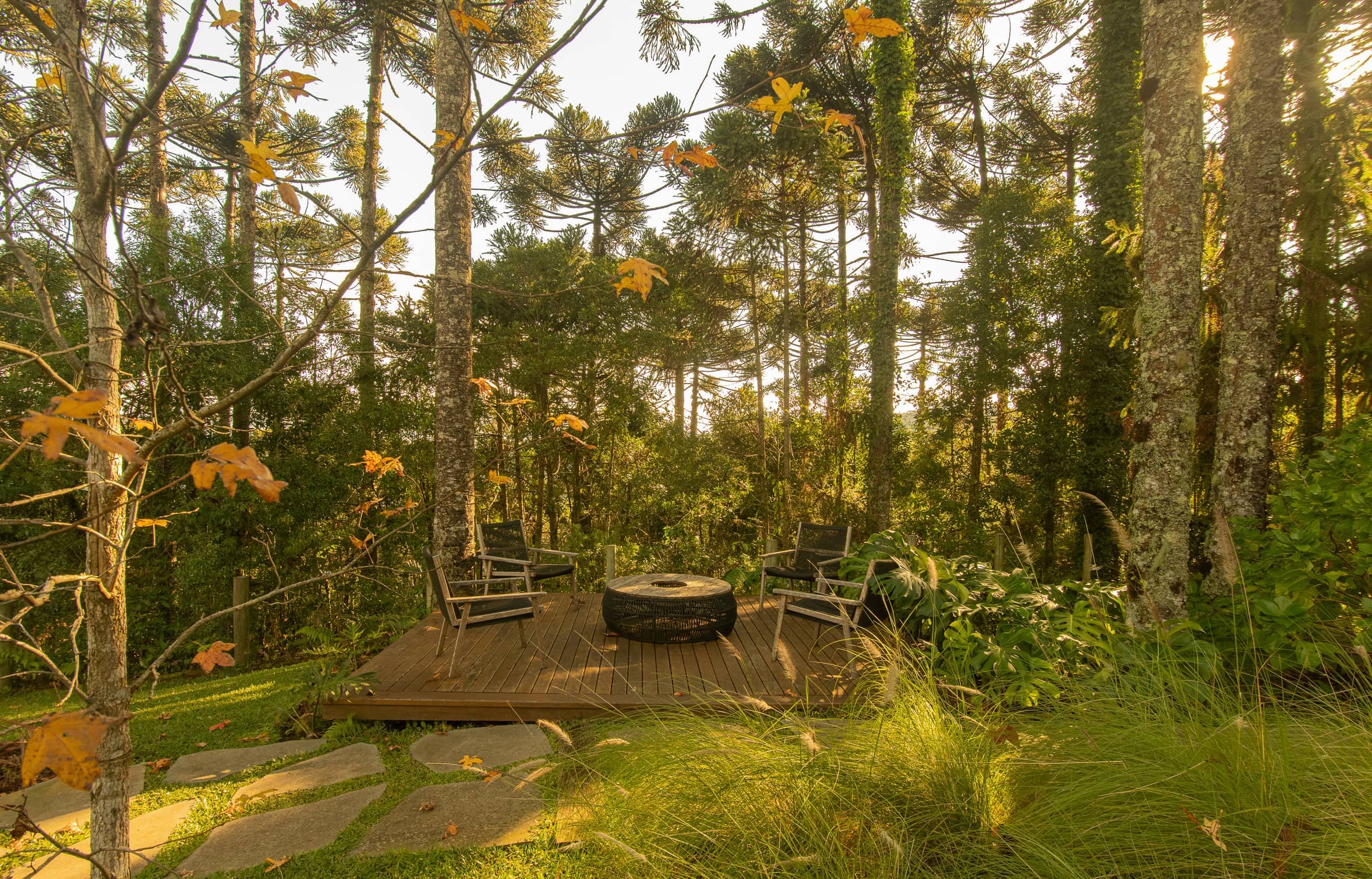 Jardim APG - Imagem 9