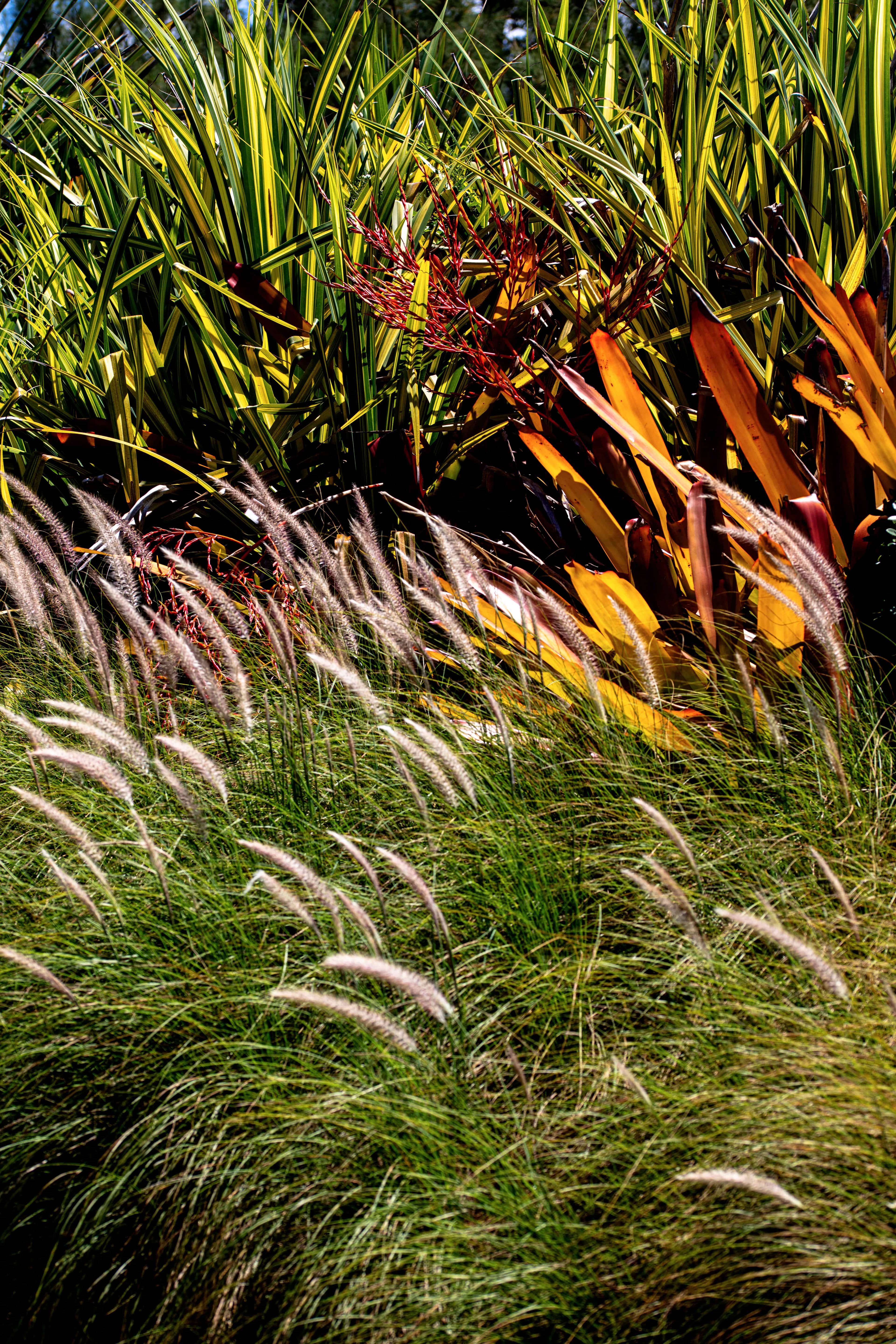 Jardim ADG - Imagem 2
