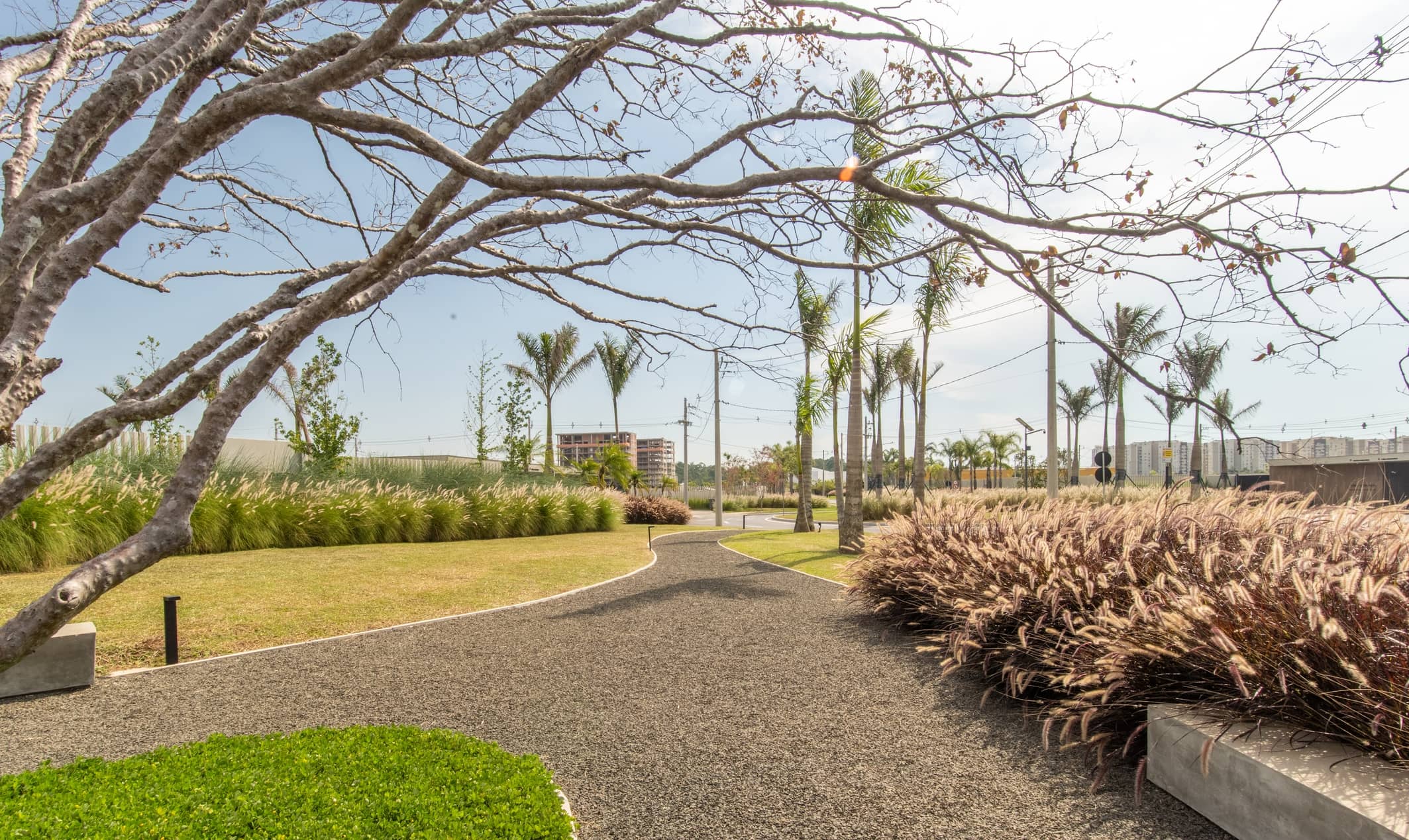 The Garden - Imagem 10