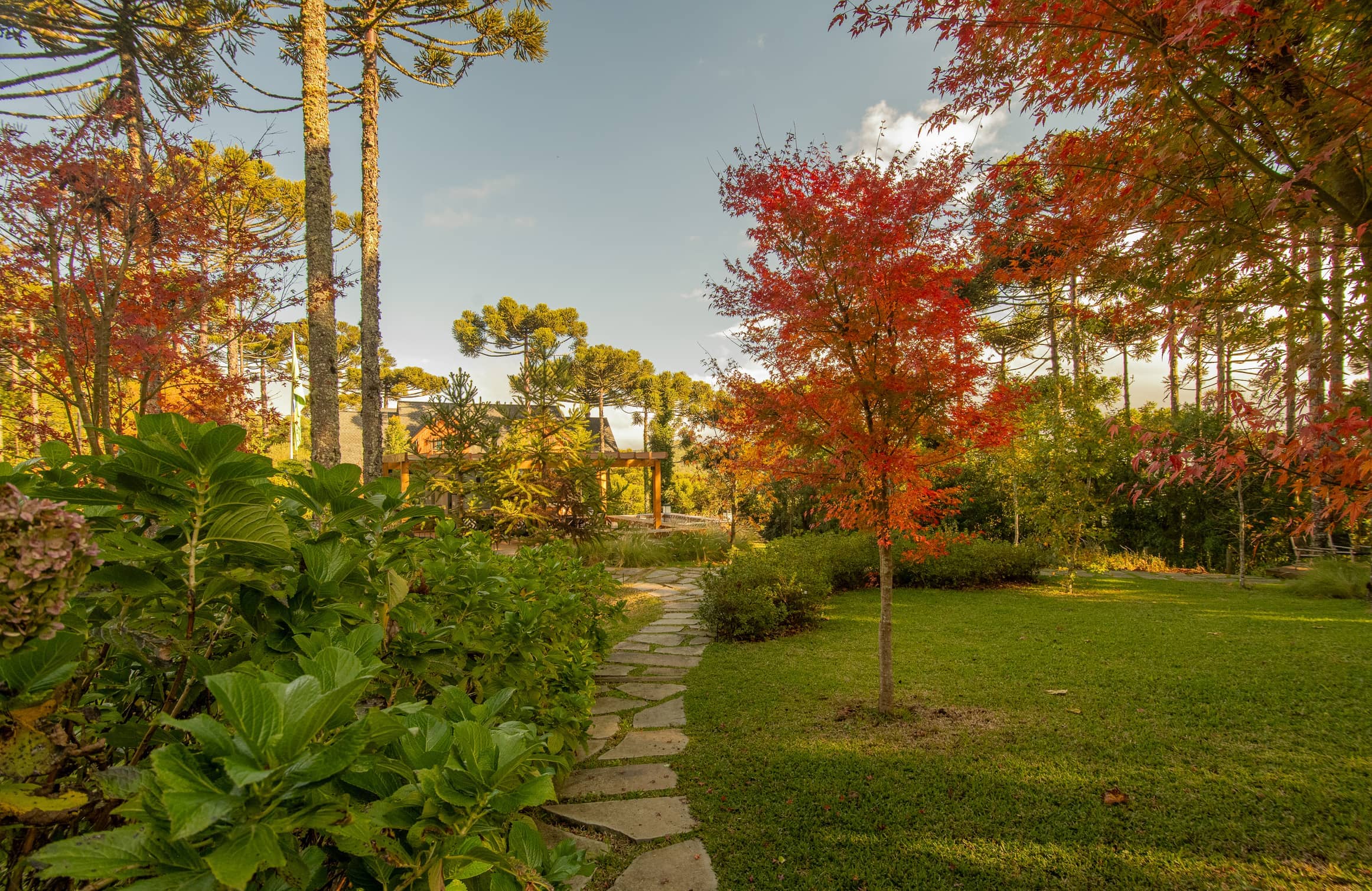 Jardim APG - Imagem 4