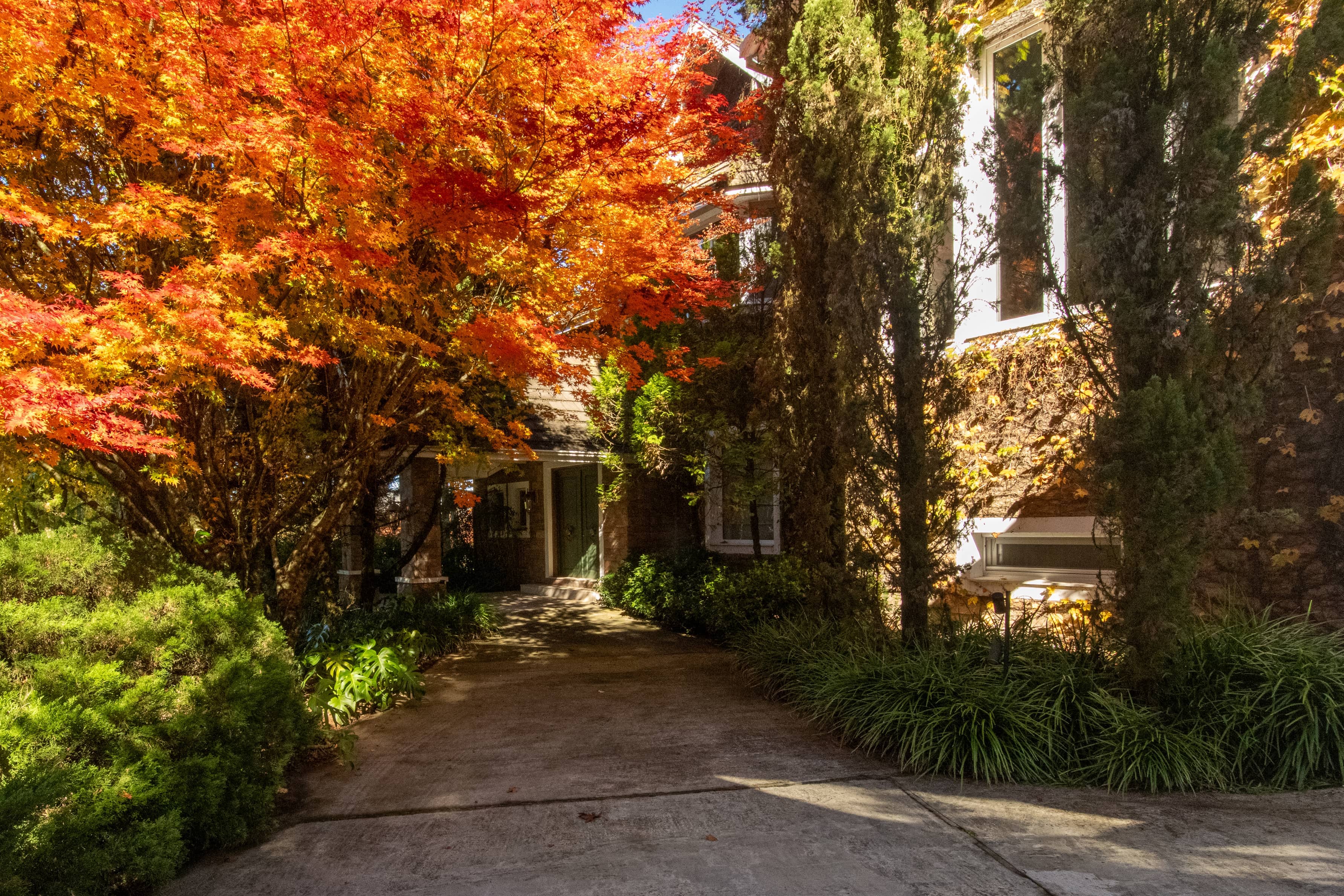 Jardim APG - Imagem 1