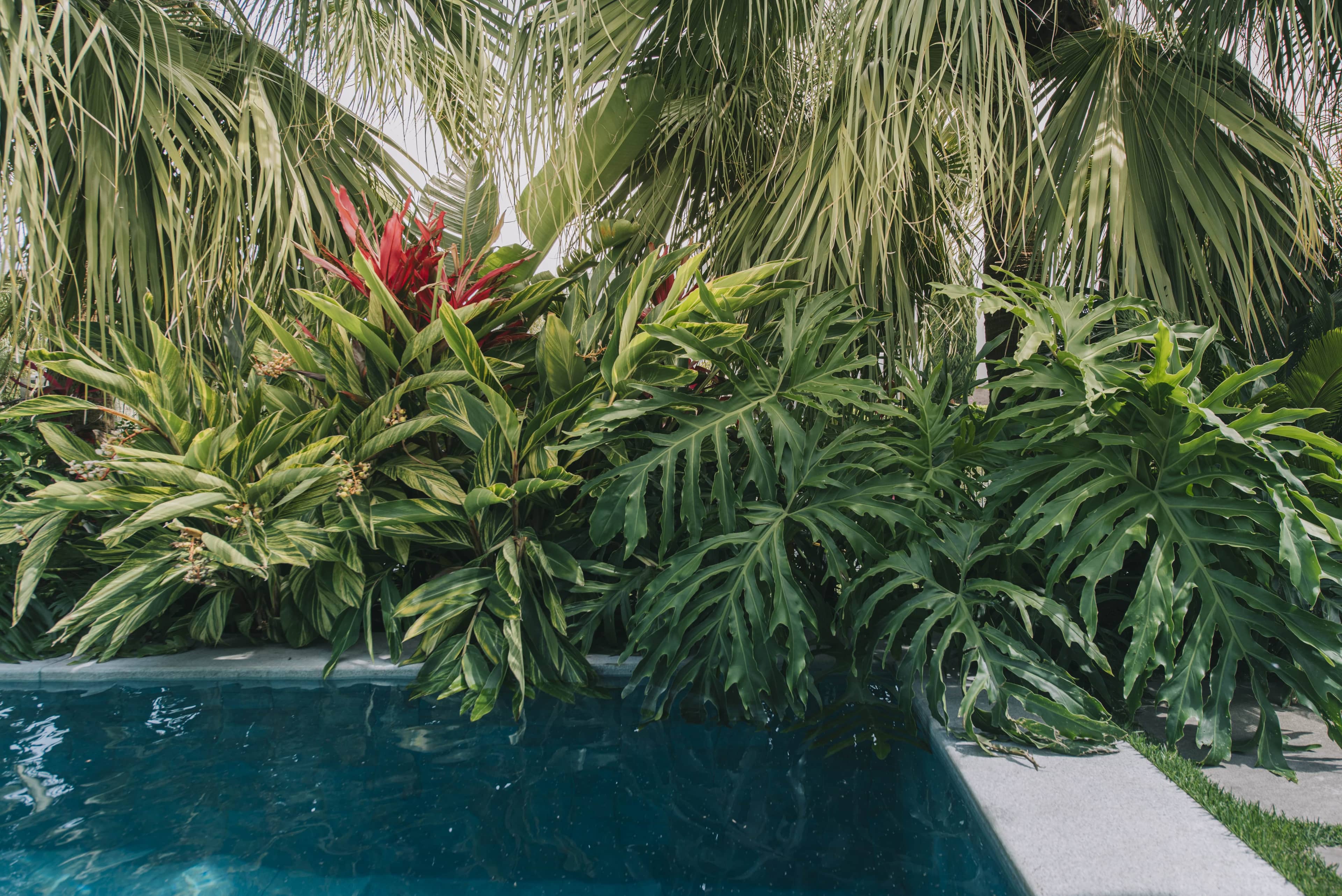 Jardim LTX - Imagem 8