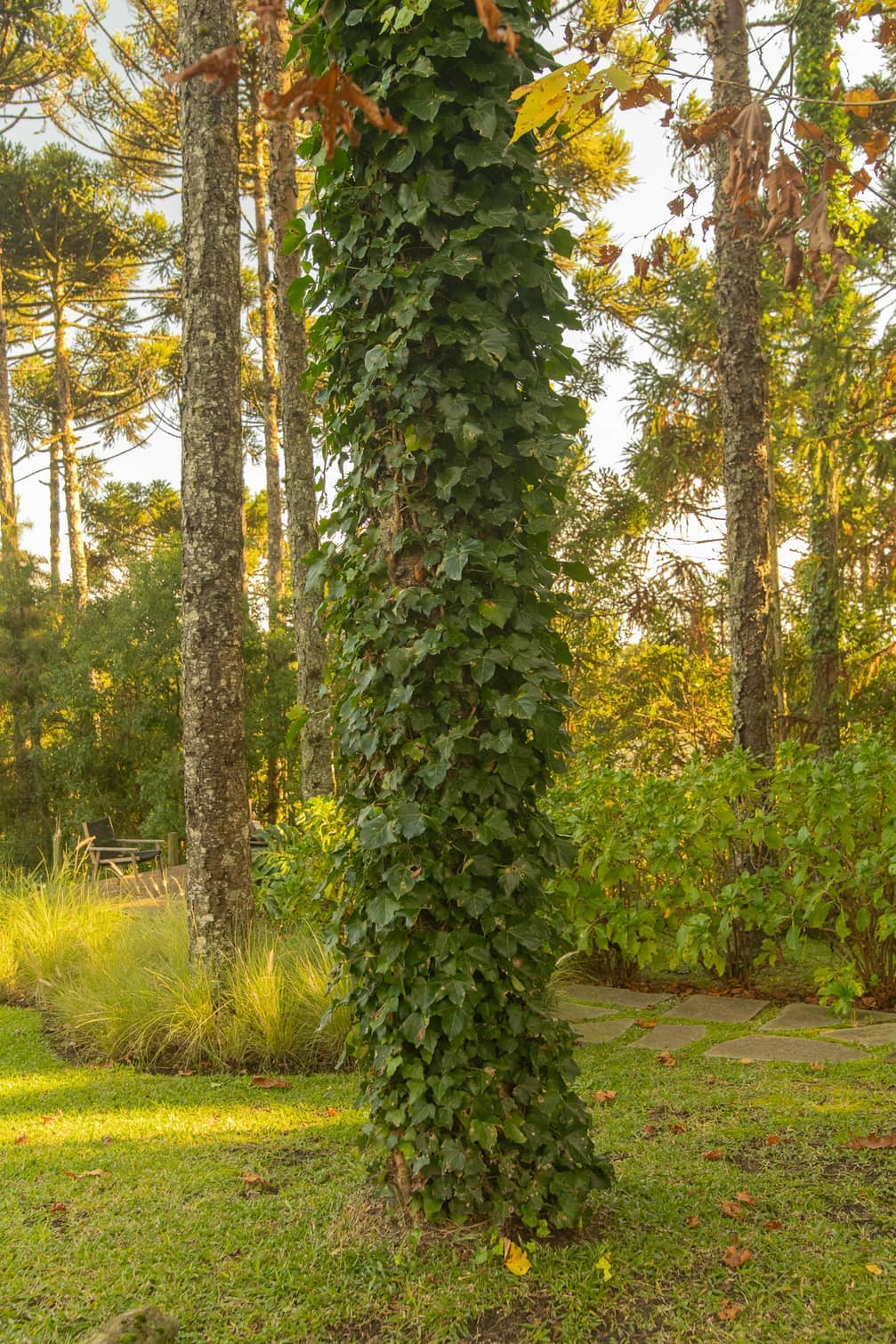Jardim APG - Imagem 10