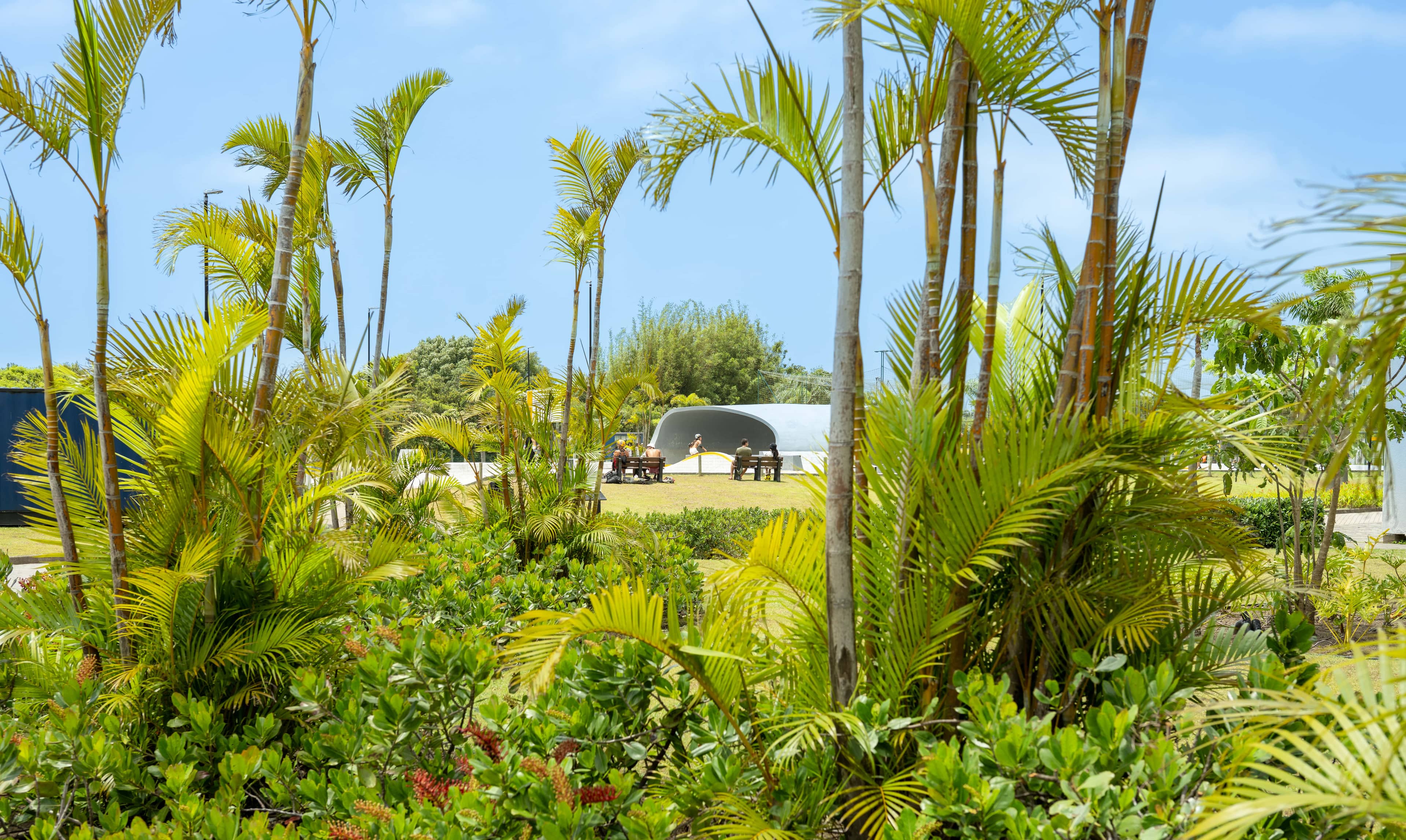 Surfland - Imagem 14