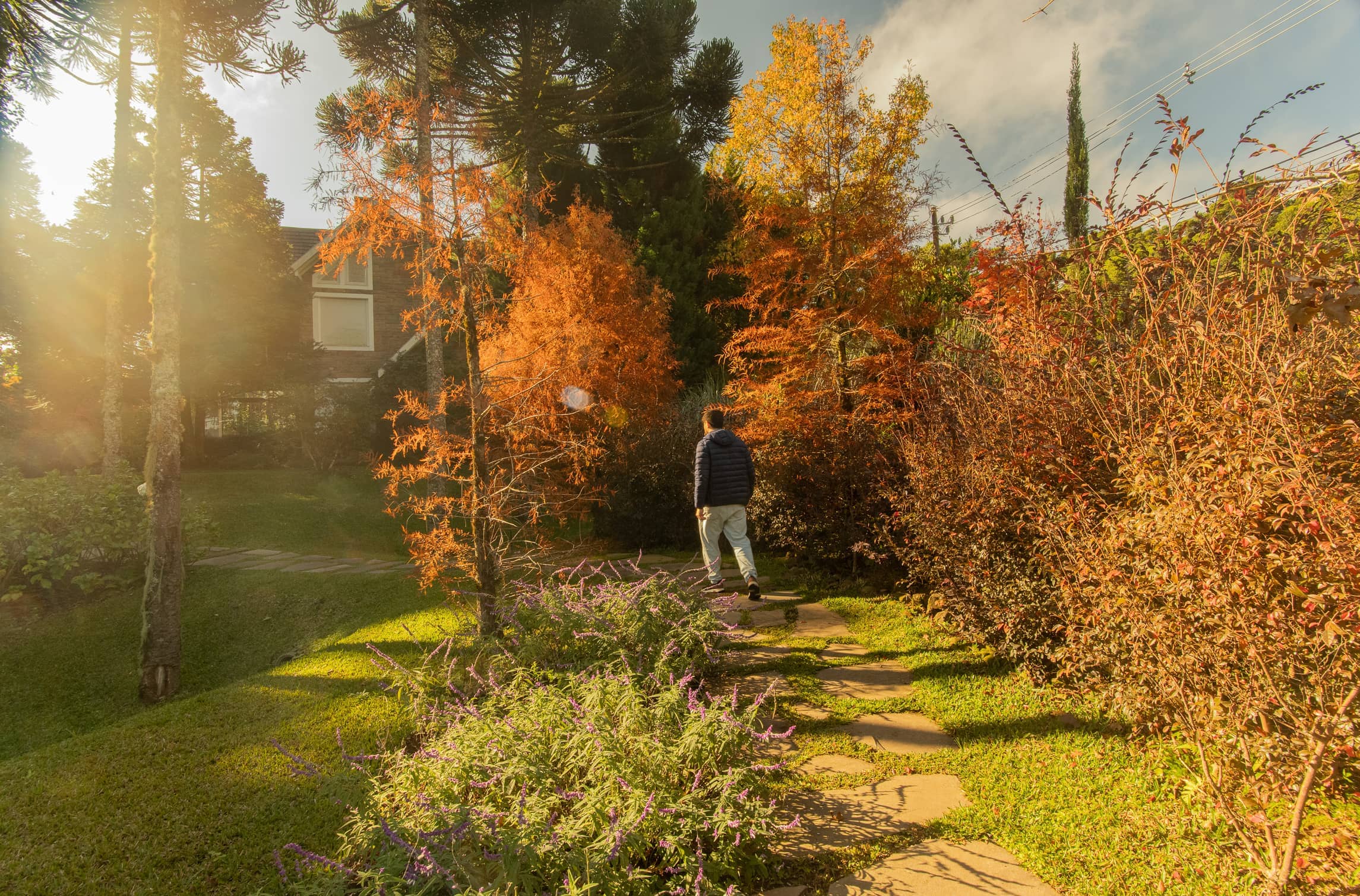 Jardim APG - Imagem 11