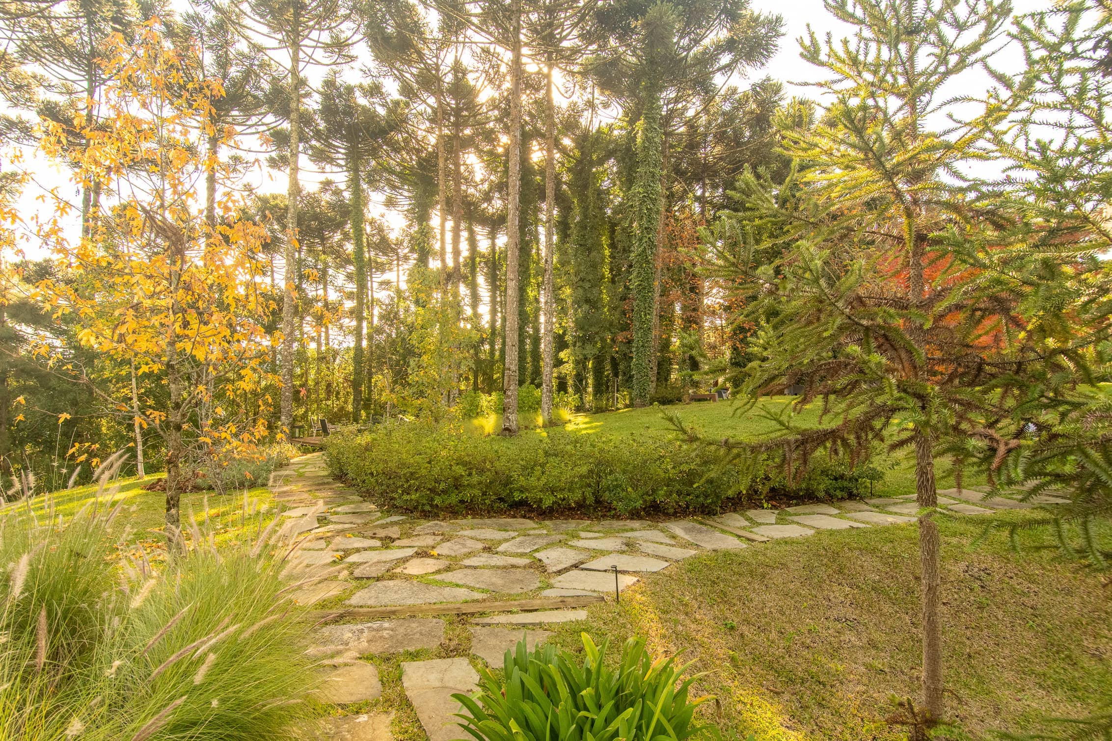 Jardim APG - Imagem 6