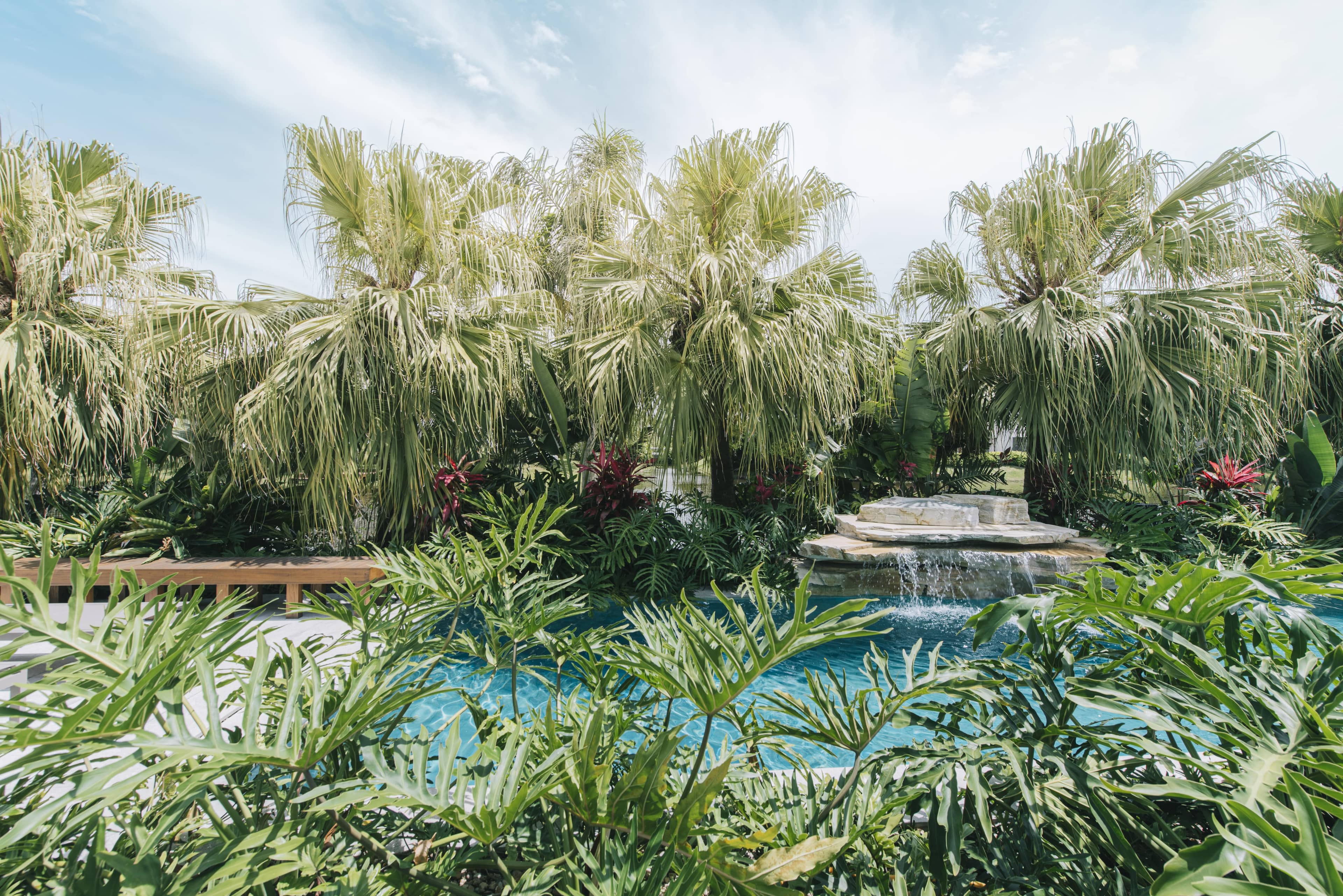 Jardim LTX - Imagem 4