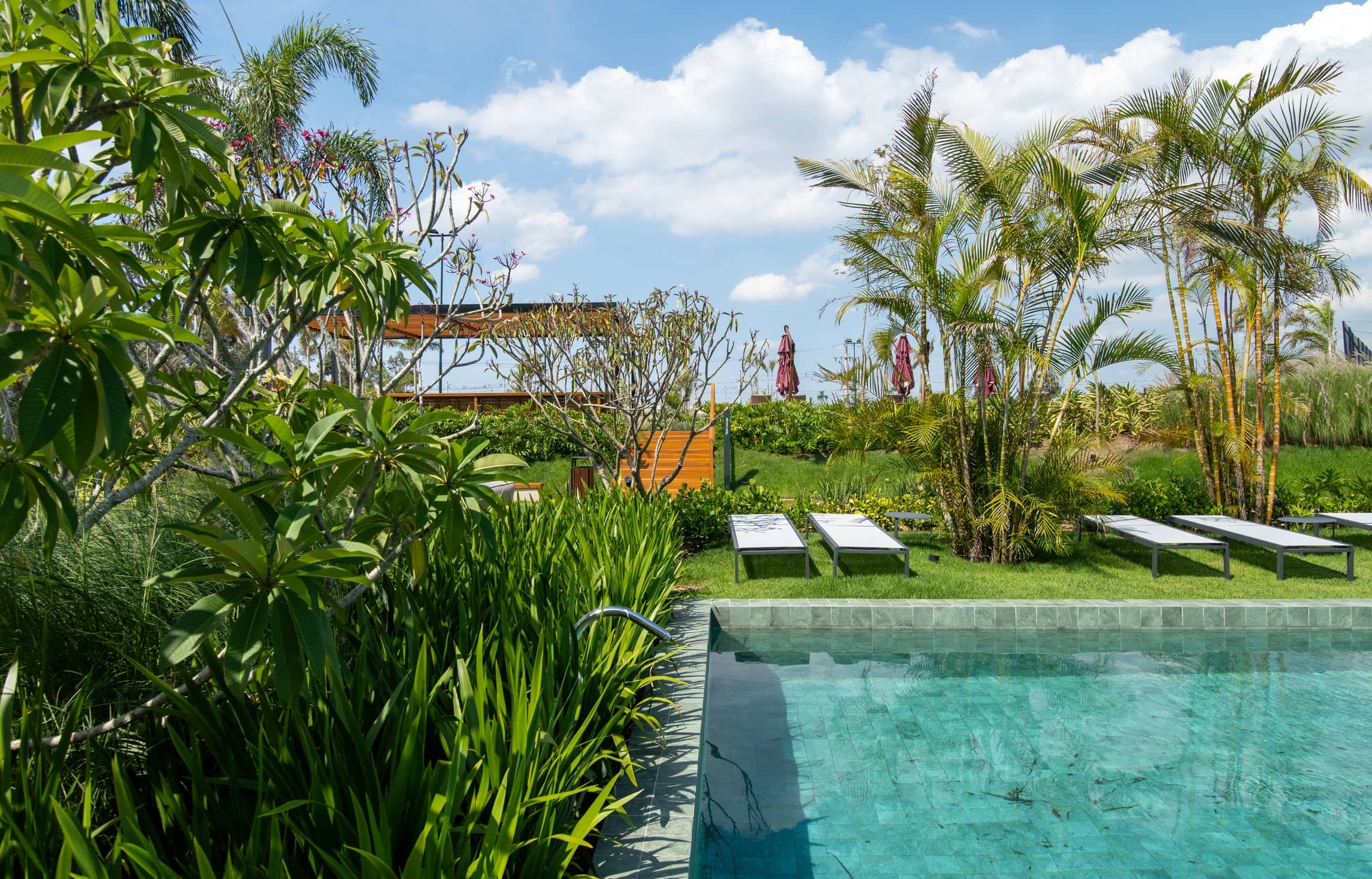 The Garden - Imagem 7